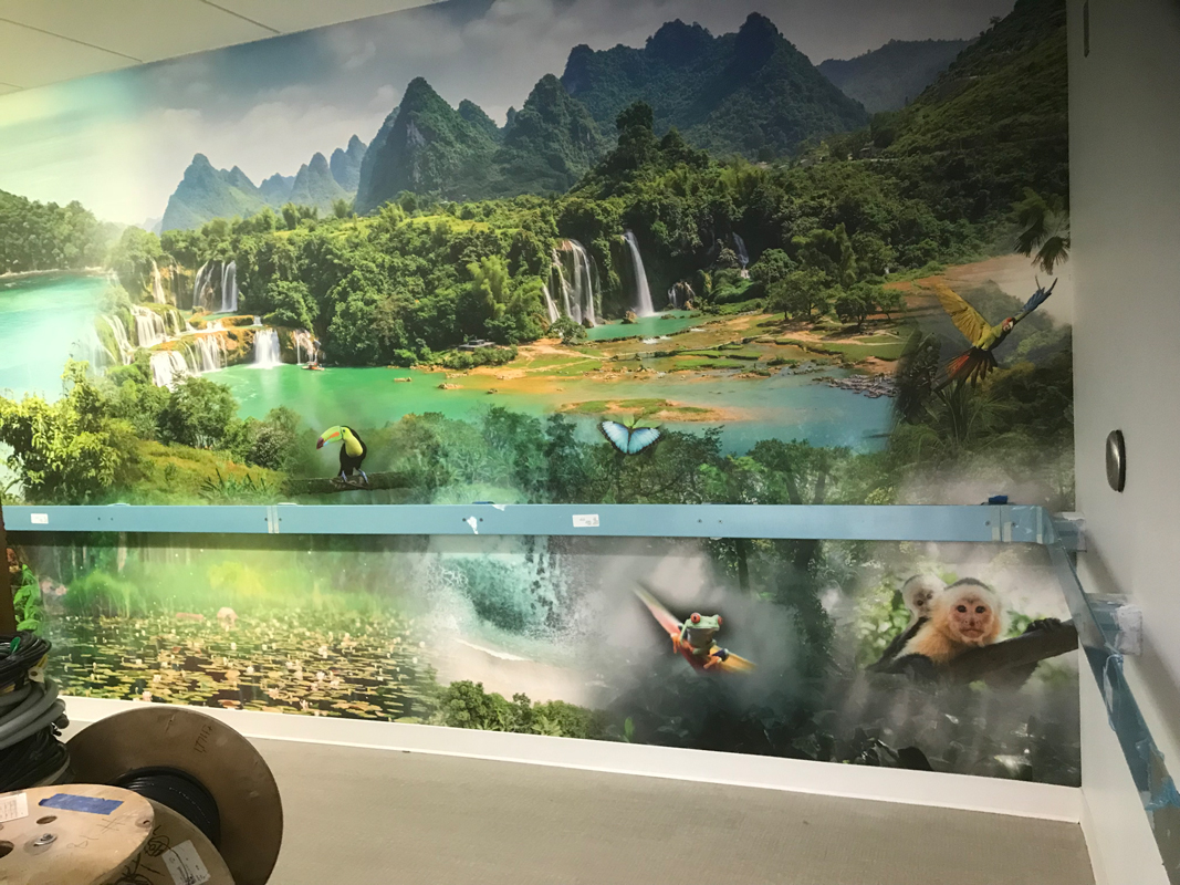 New York Proton Center