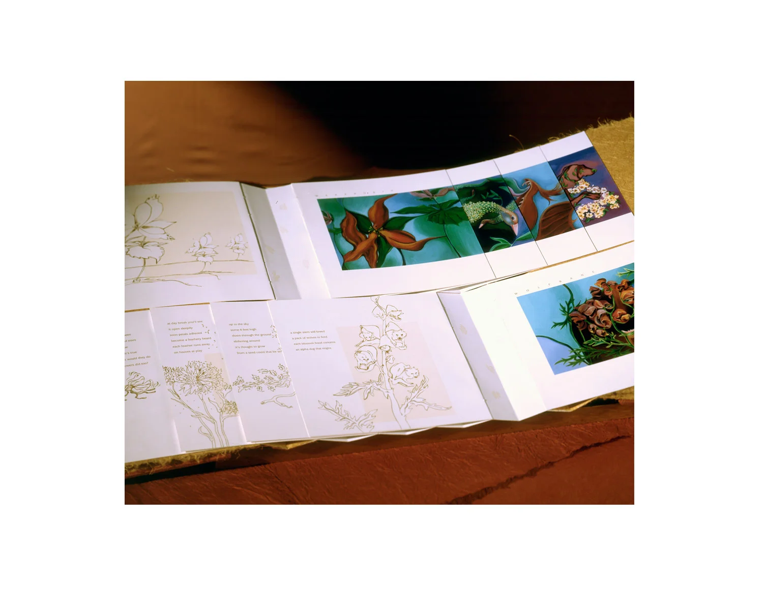 plantAnimalBook_spread1_stanislawakodman.jpg