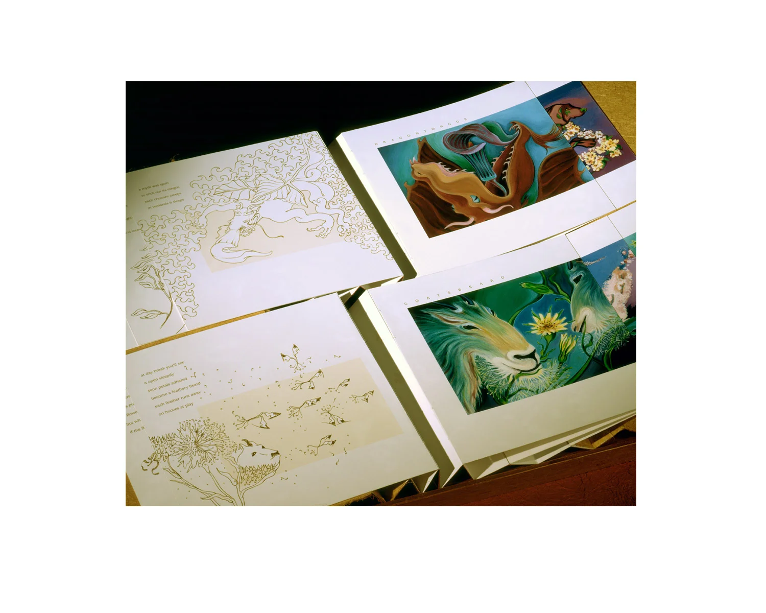 plantAnimalBook_spread2_stanislawakodman.jpg