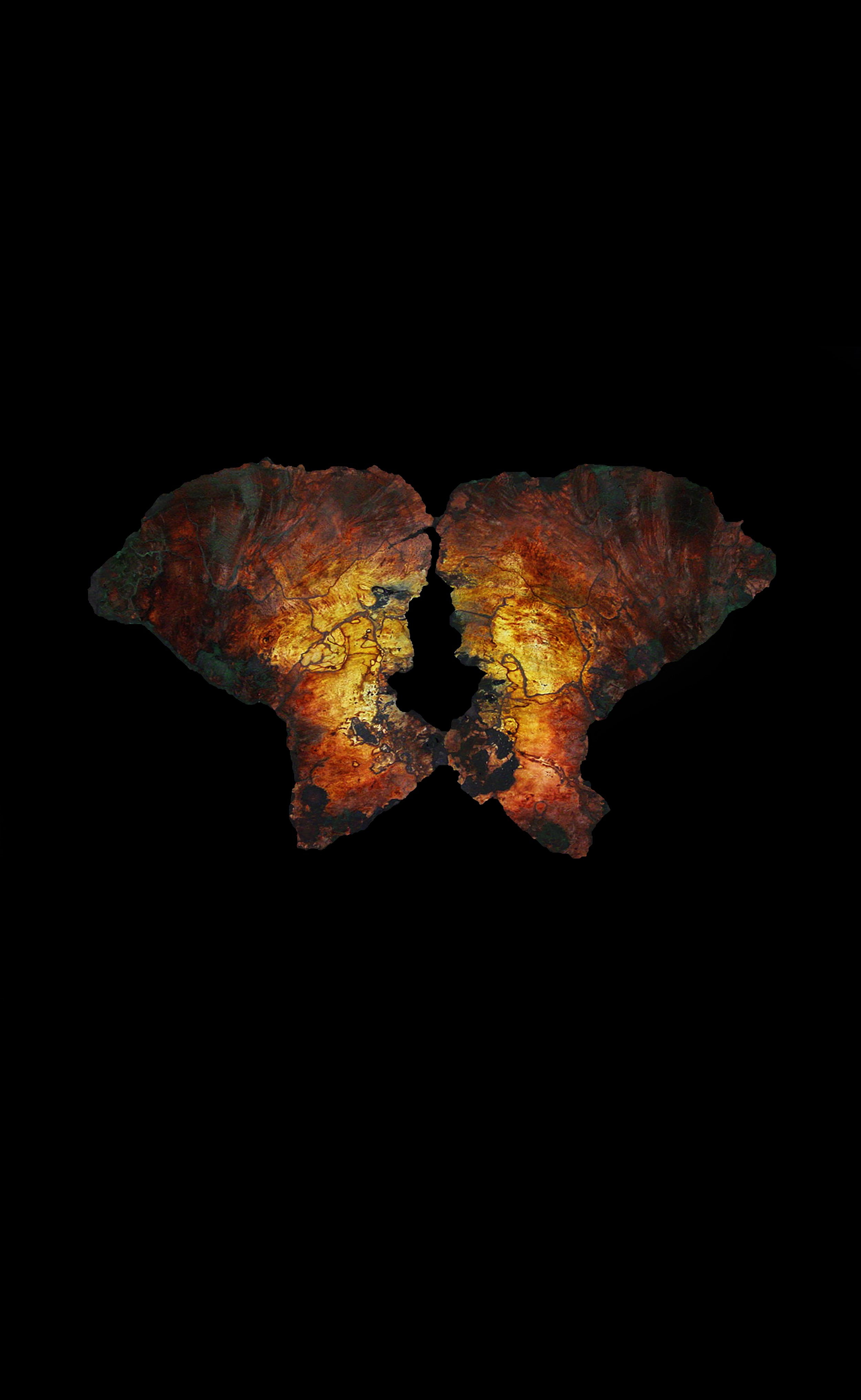 wings.jpg