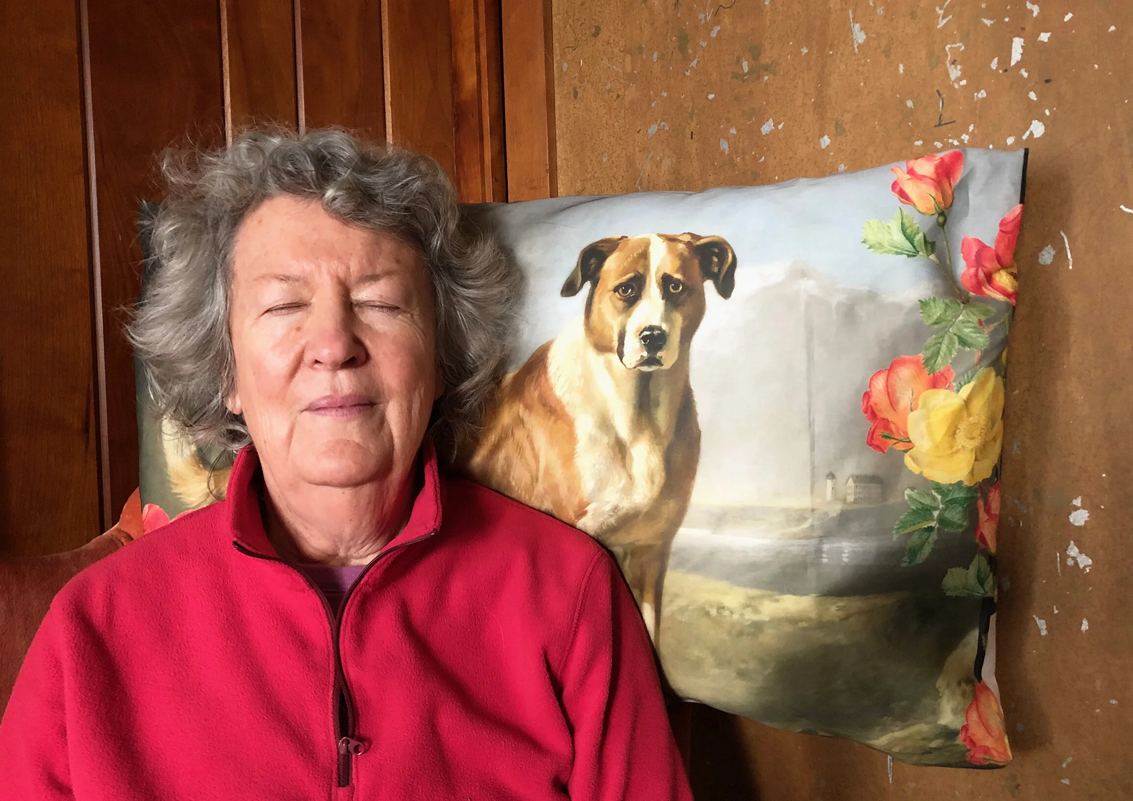 THE COSMIC CAT AND THE SUN DOG - Rijksmuseum Competition 2020 