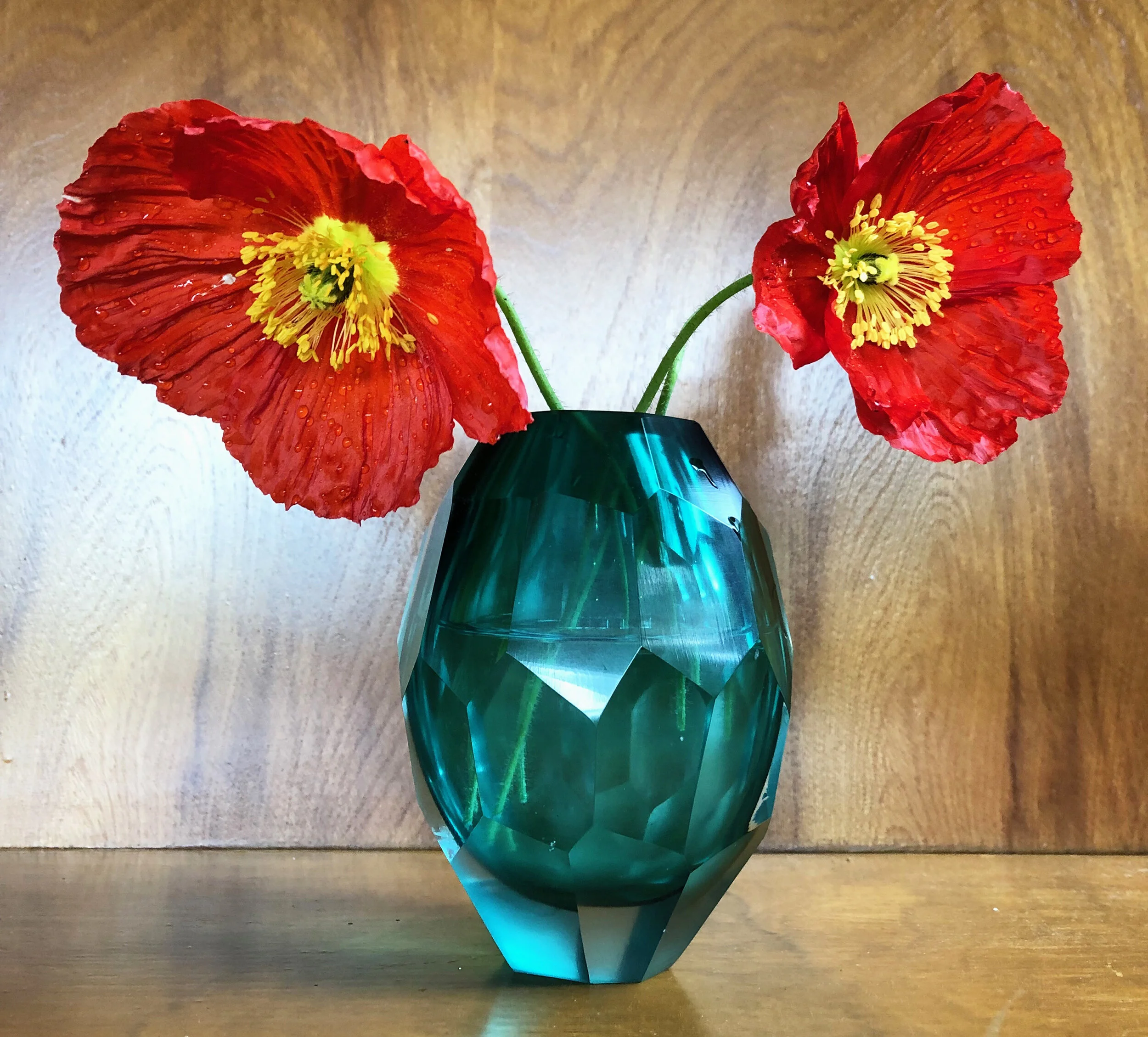 25% off HOLIDAY Discount and Call for Letters to Protect the ARCTIC