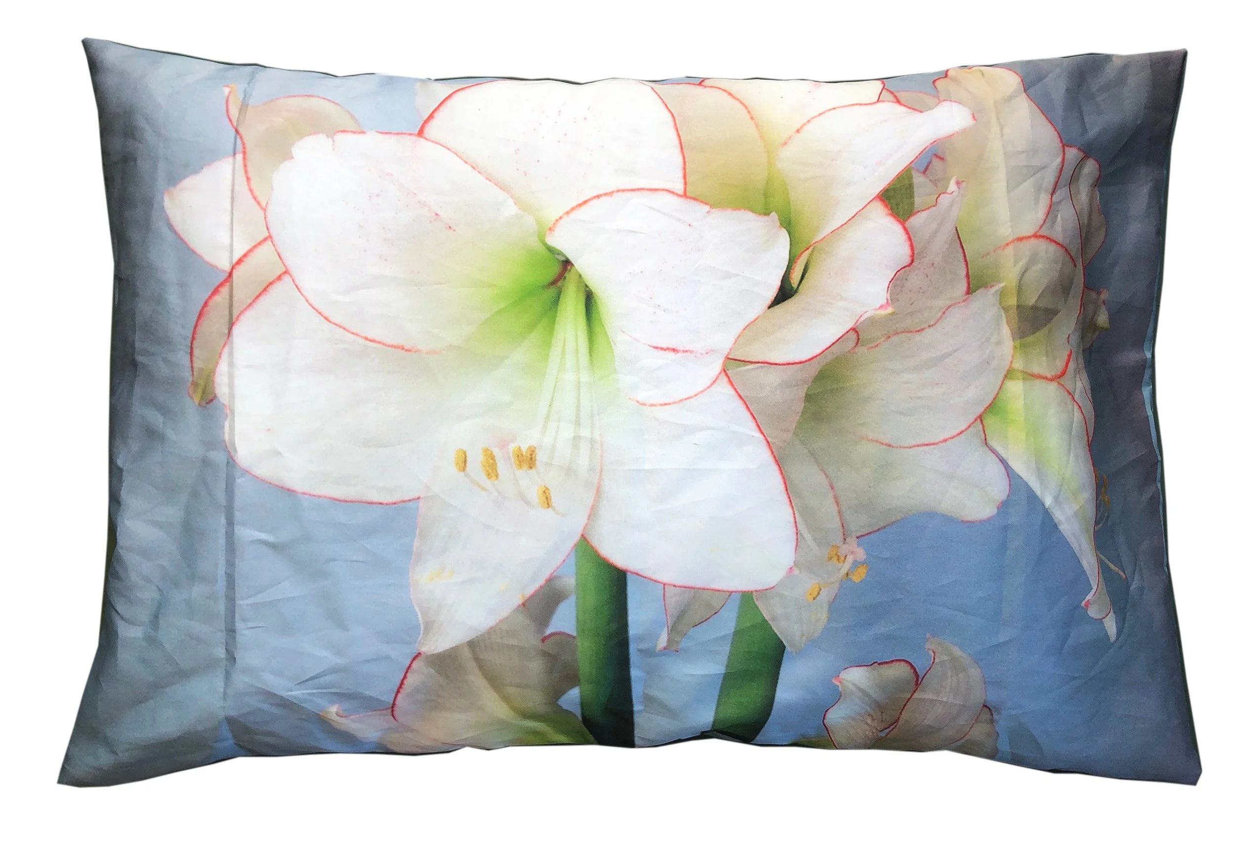 KITCHEN NEIGHBORS PILLOWCASES