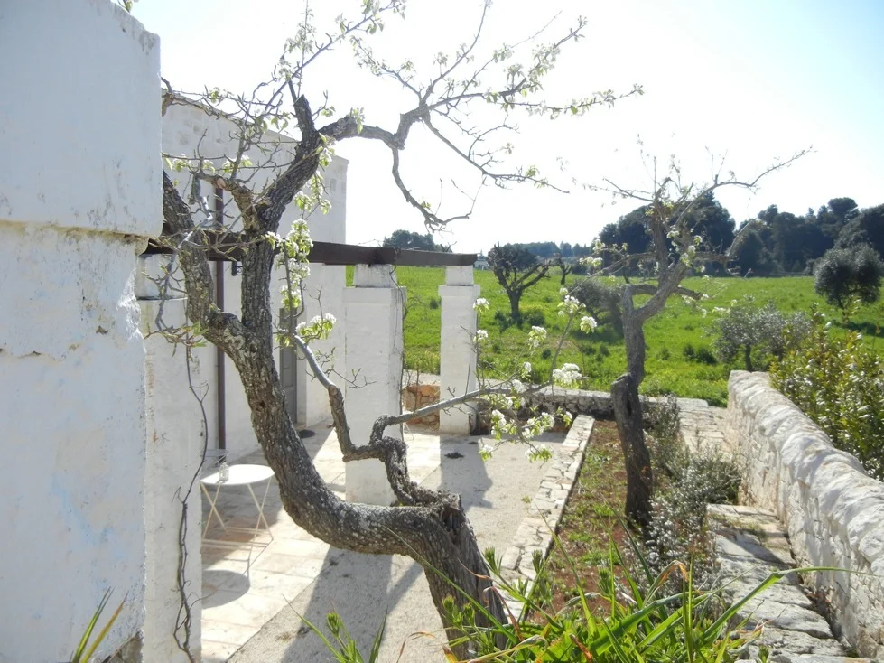 mb puglia - 767 masseria.jpg