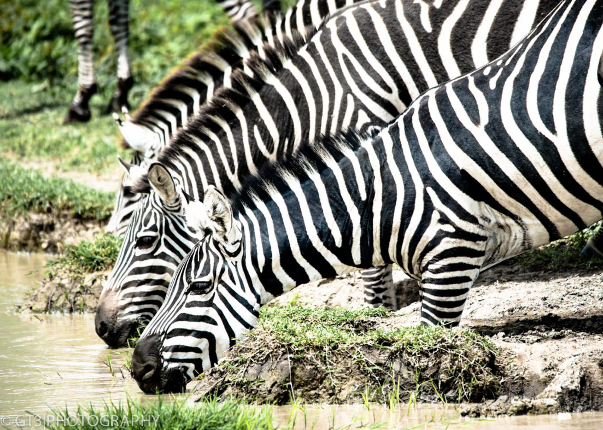 Kilimanjaro, Safari, and Zanzibar-5545.jpg