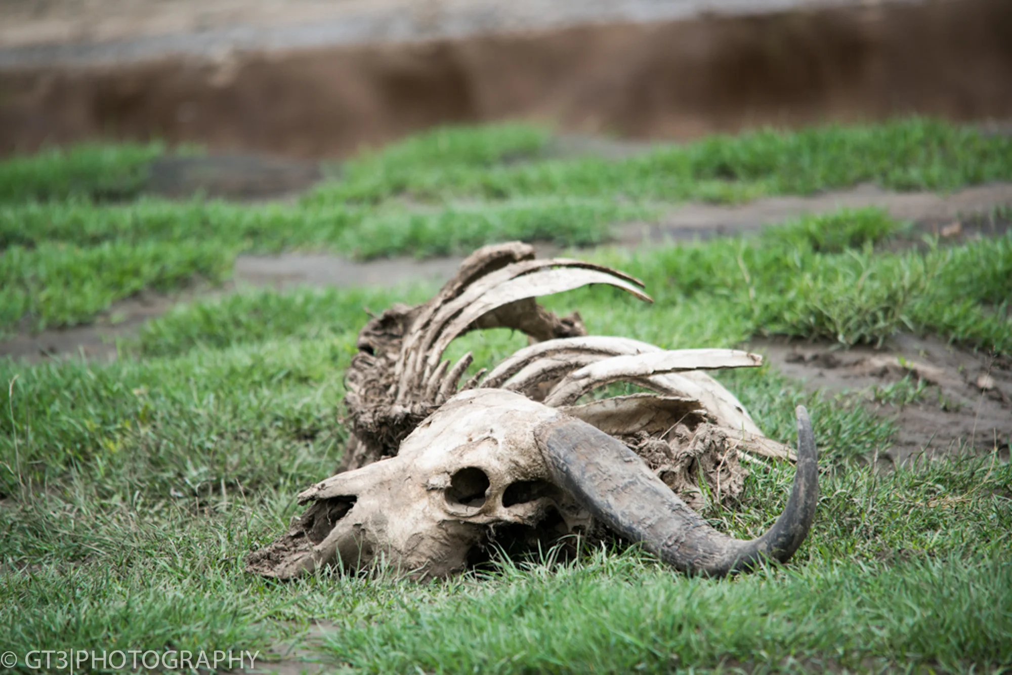 Kilimanjaro, Safari, and Zanzibar-6154.jpg
