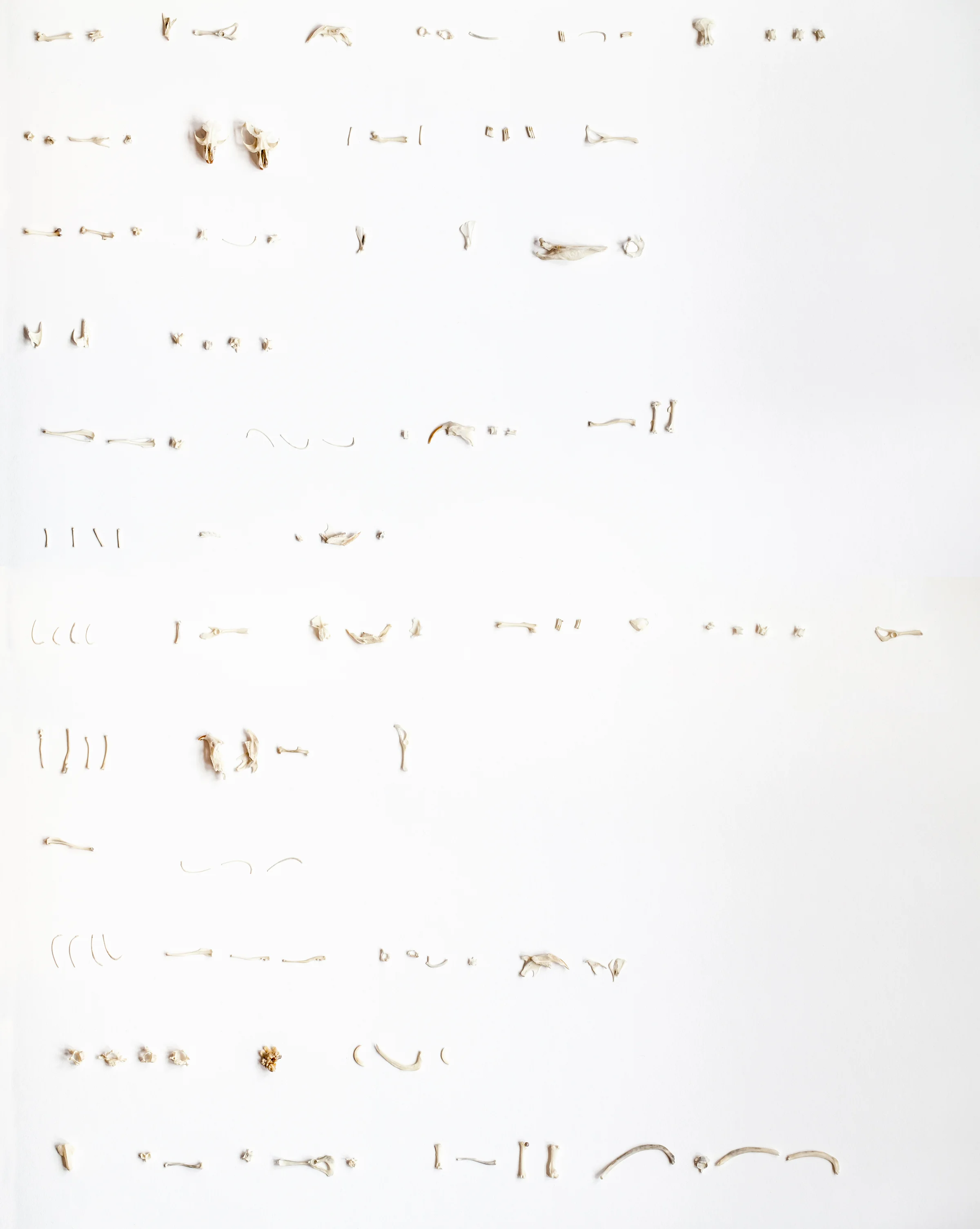 composite_2.jpg