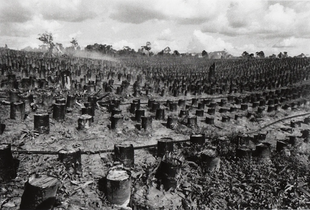 ABK_14.jpg