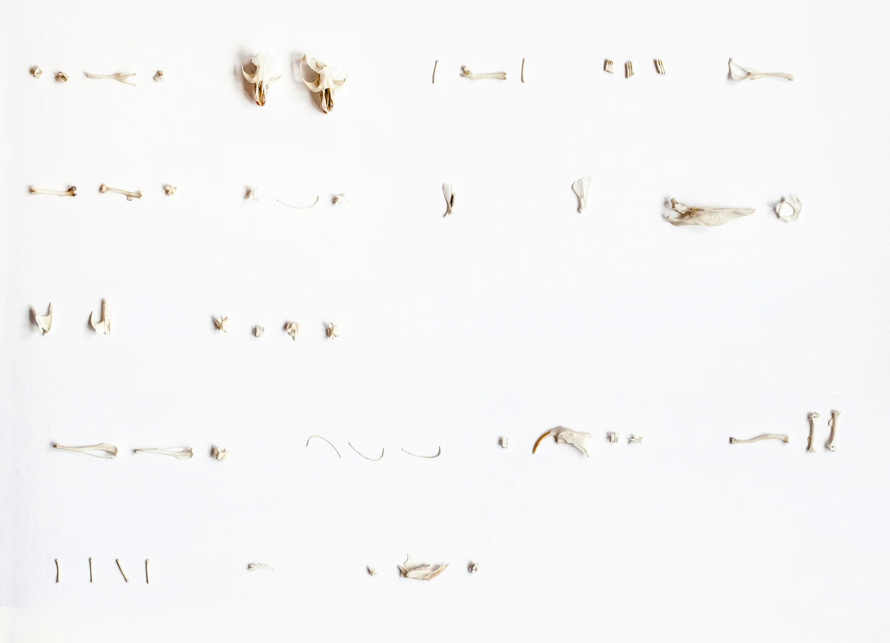 composite_detail_2.jpg