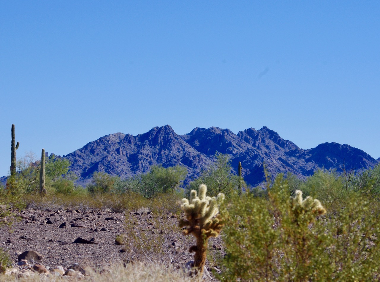 View from our front yard