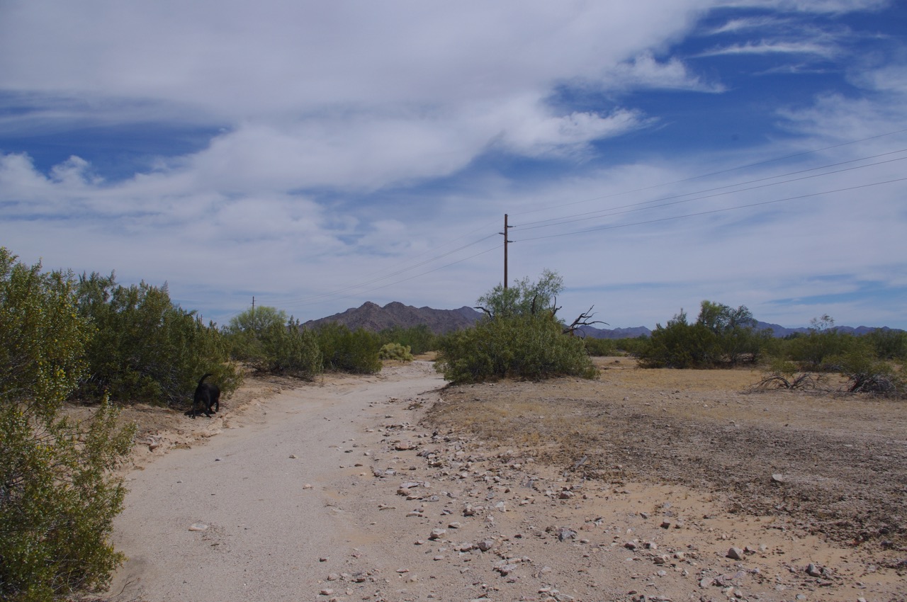 Rule 1: Never, ever, EVER drive through anything that looks like this. Even if you see hundreds of tire tracks from other vehicles who seem to have traversed it successfully, don’t do it. The rusting hulks of their vehicles and the sun-bleached bones of their skeletons are probably hidden behind a bush nearby. In fact, simply avoid any area that is lower than the surrounding ground, and any area that has a vague appearance of sandiness, and any area that is lined with trees or large bushes. This is a wash. There is no such thing as a shallow wash. Under the surface, there is a bottomless pit of sand that goes all the way down to China. If you get stuck in a wash, you will never dig yourself out…the only way out is with a tow chain and a four-wheel drive truck, or a winch and cable, if you can find anything to hook your cable to.