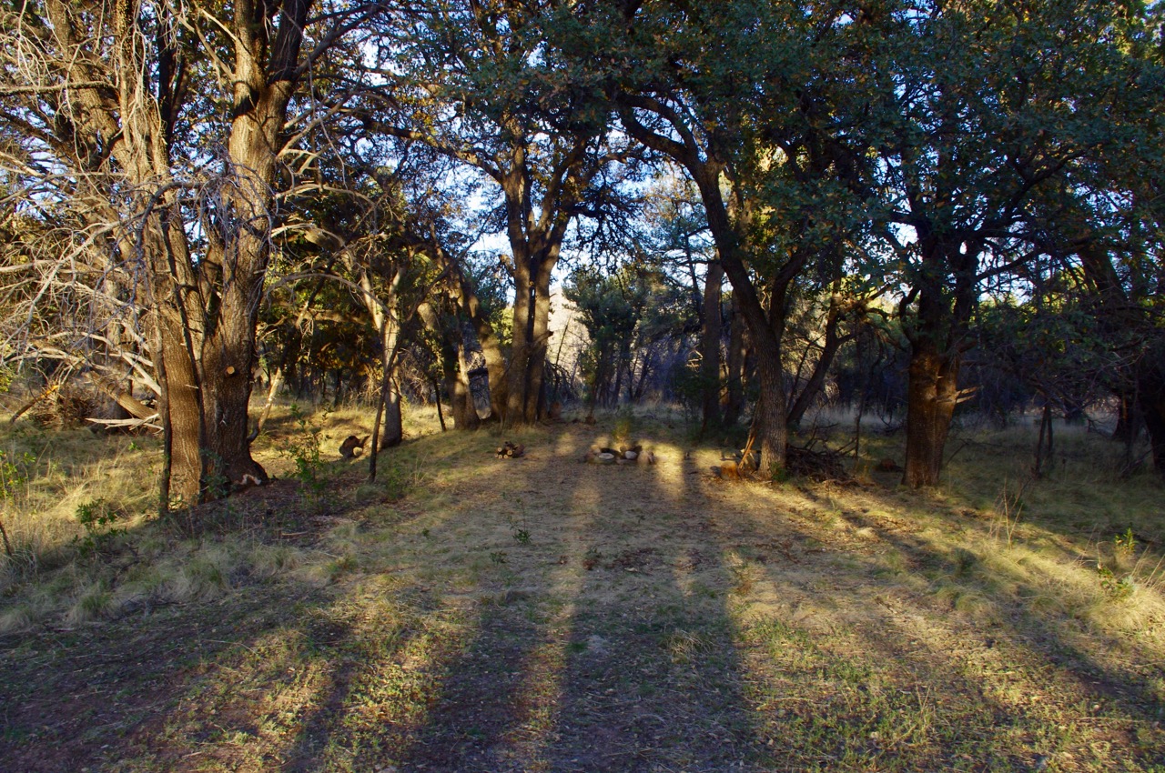This is the place that I wanted to camp, but could not because I would have had to drive through low tree branches in order to get there.