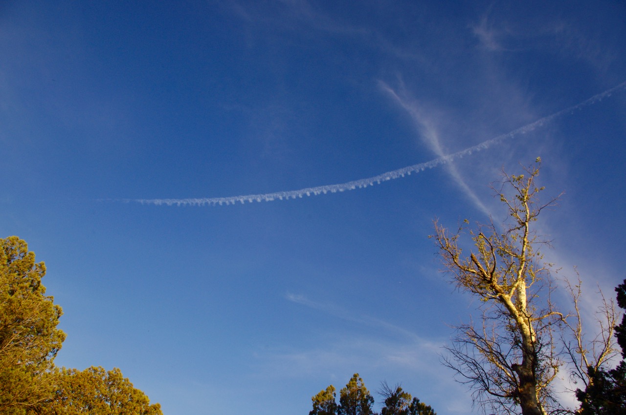 Horrifyingly, we observed Chem Trails here. You would think that the government would have something better to do with its time and money than attempt to obliterate all life forms in southeastern Arizona with deadly, indiscoverable chemicals dropped from the sky. At least they could focus on a more populated area where they could get more bang for their buck. But no. We immediately donned our gas masks and full radiation suits, and in that way survived. IN YOUR FACE, Trilateral Commission.