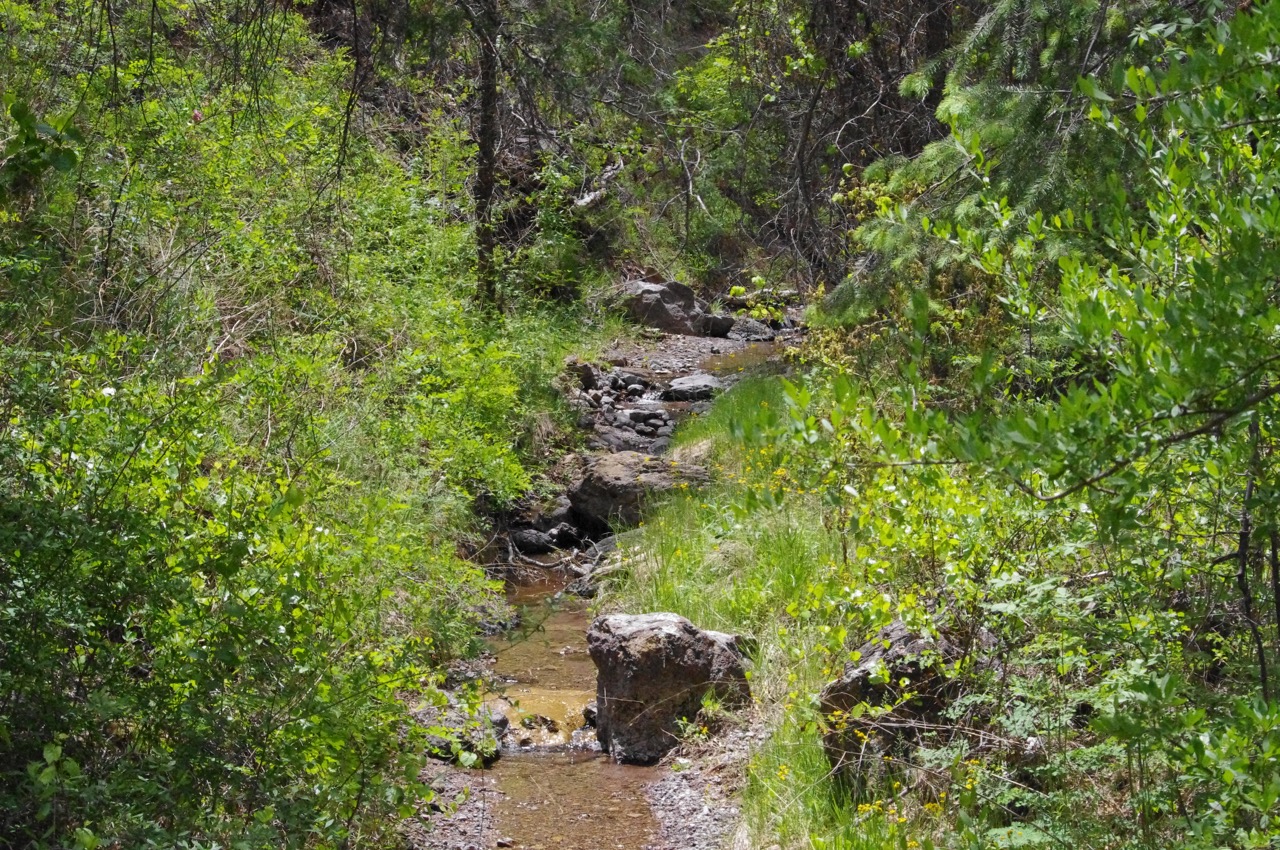 This is the little creek flowing at the bottom of the gorge which the cliff dwellings overlook, and you cross it many times on the trail up to the caves.