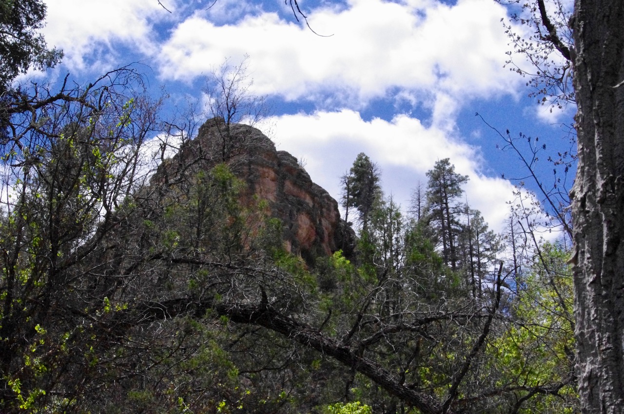 As you see, the photo is still grainy...I had not discovered my ISO setting yet, and so, spoiled all the pictures of Gila Cliff Dwellings NM as well as the Chiricahua ones. 