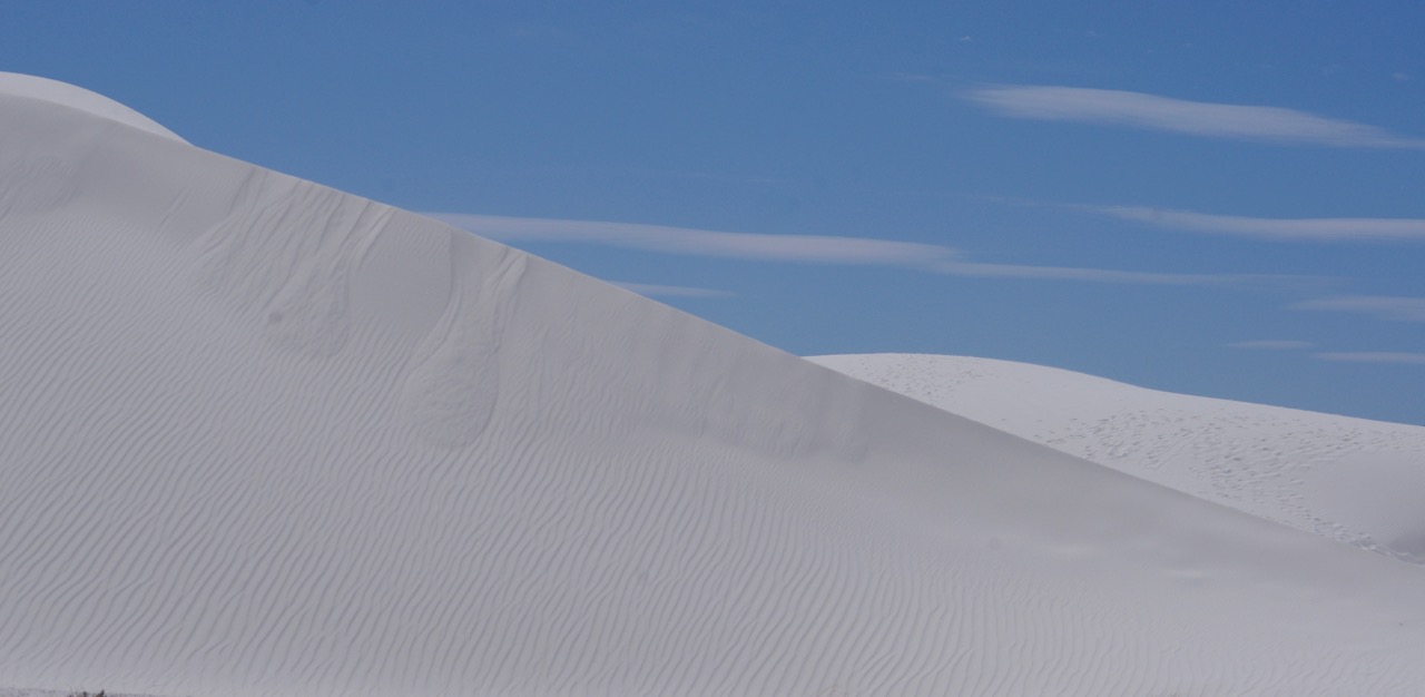 The sand was soft, like beach sand, and it looked a lot like snow in the areas without vegetation.