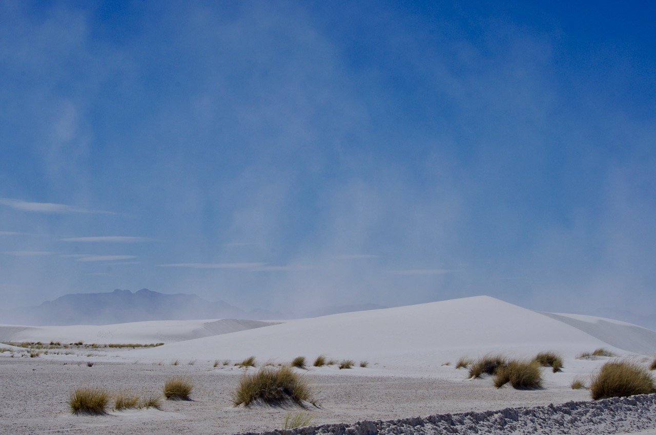 The dunes are always moving because the wind blows the gypsum around. 