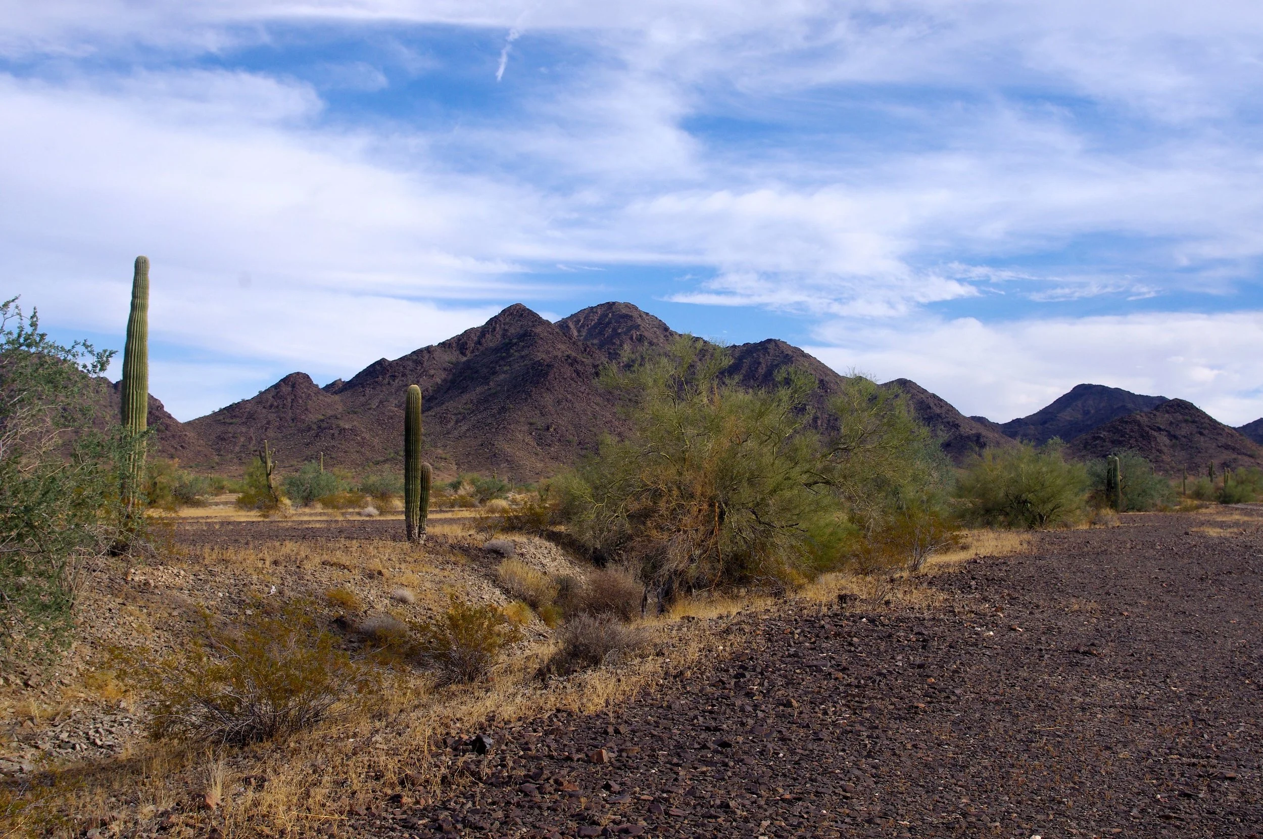 KOFA.jpg