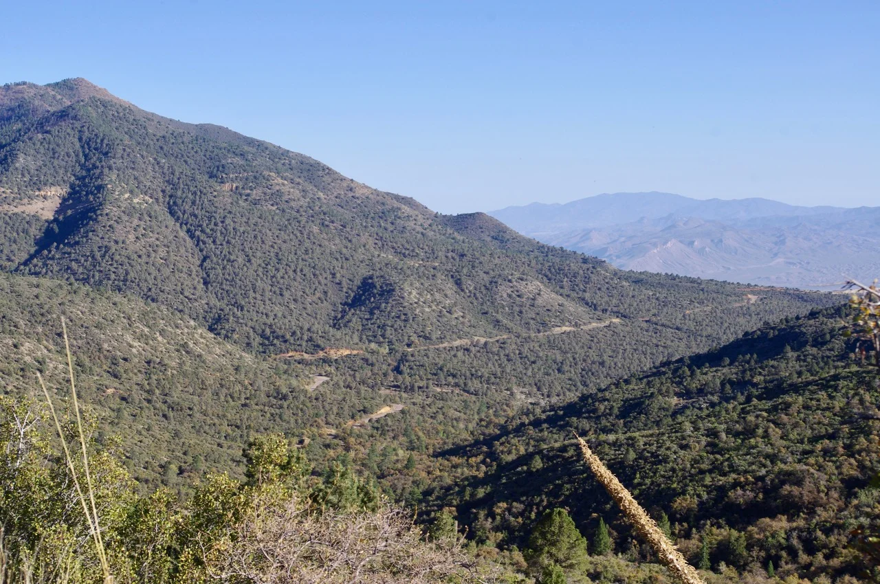 And here is what the road looks like from waaaayyyyy up there.