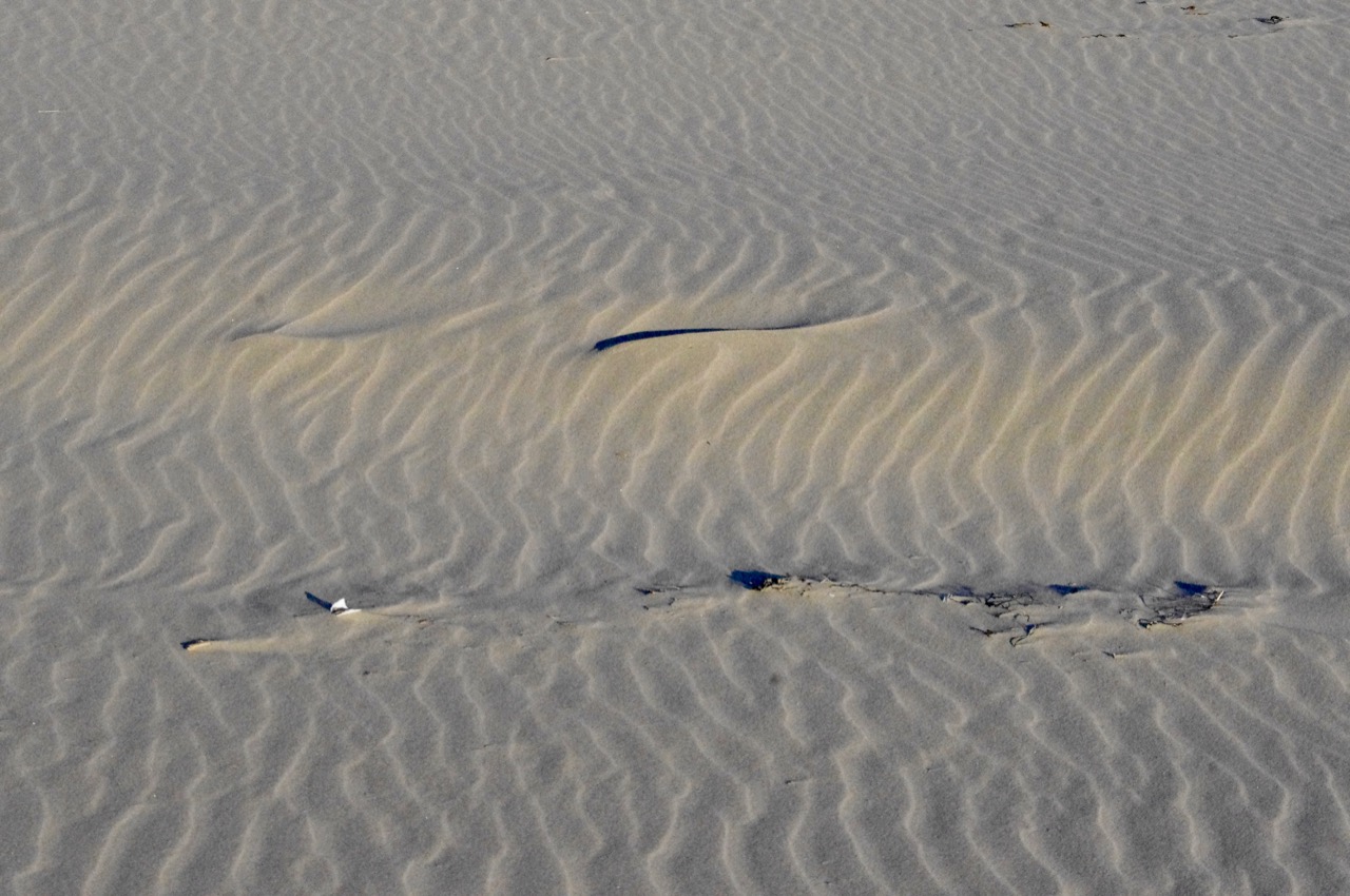 Sand Patterns.jpg