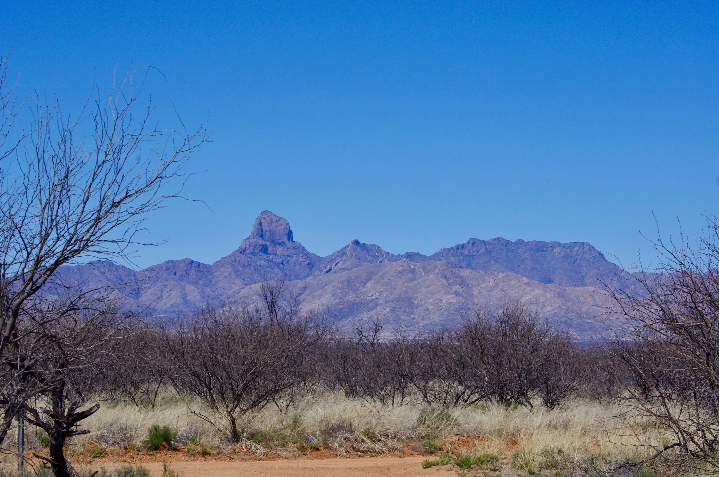 Here we have the Buenos Aires National Wildlife Refuge south of Tucson. There are actually a few different types of landscape here, but this is where we camped, and I rode through 18 miles of pretty much the same thing looking for Pronghorn Antelope. Of which I saw, regrettably, none. The only wildlife I succeeded in viewing were some deer, which are small in comparison to the ones that wander across my property in northern Idaho in giant herds. Apparently, though, there is great birding here, and sightings of the antelope are not uncommon.