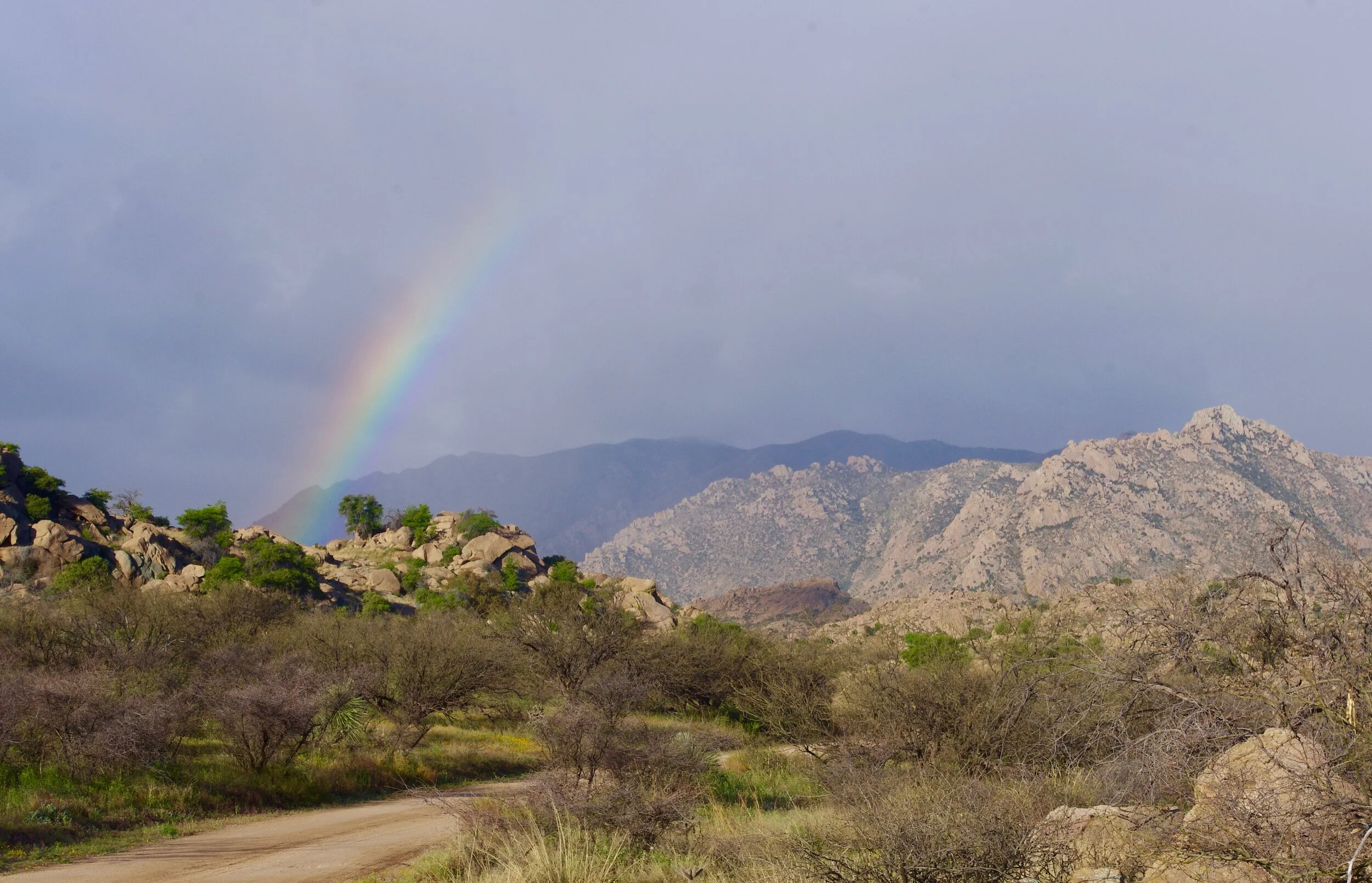 rainbow at NF Prescott AZ.jpg