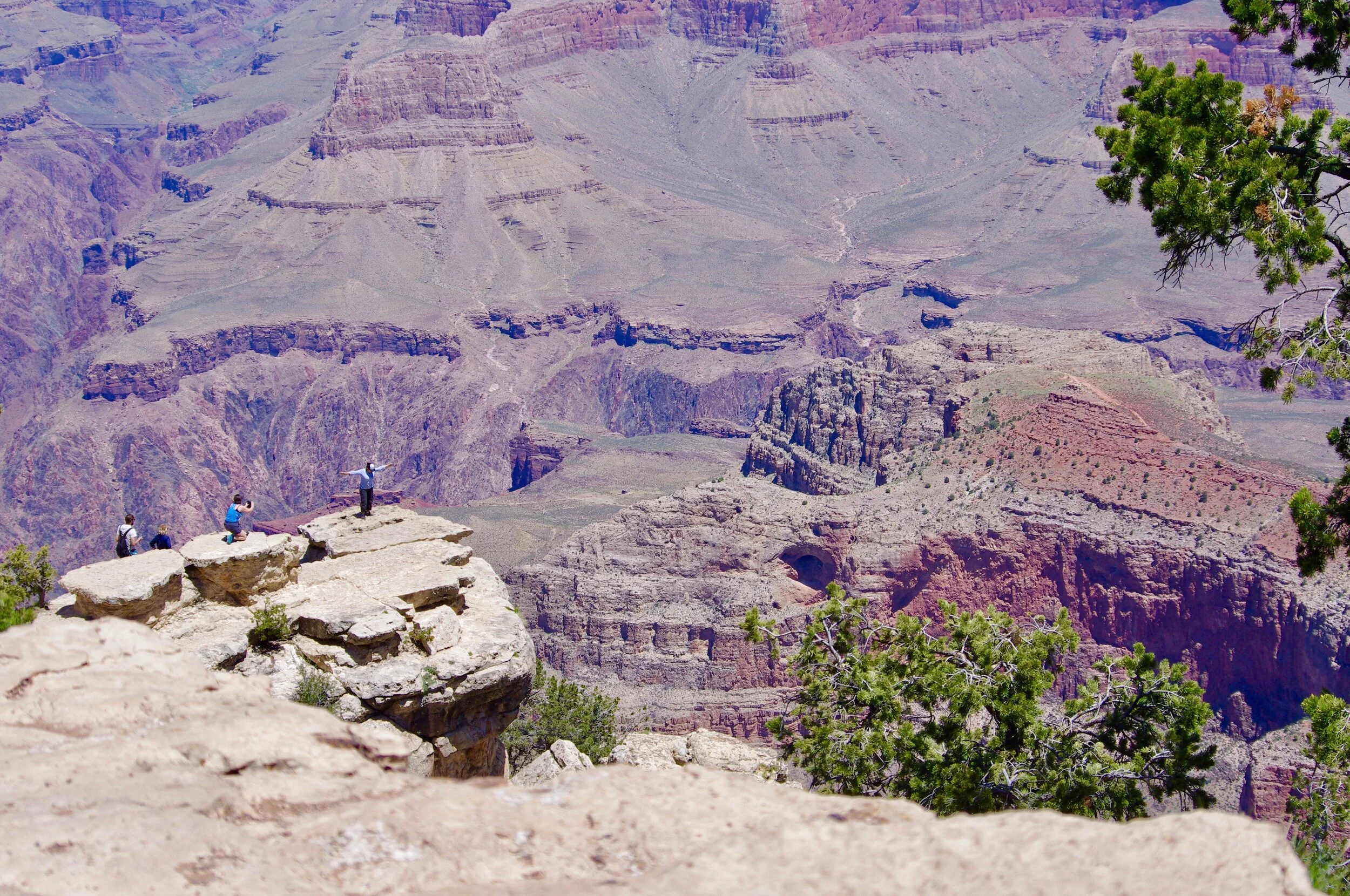 Here are some very silly people (IMO) who are ignoring the signs telling people to stay safely behind railings in viewing areas. Instead, they have clambered out upon some of the rocks perched thousands of feet above the canyon floor to take pictures of themselves defying death. Hopefully, they will continue to defy it rather than falling victim to it. To a person such as myself, who cannot stand securely on her own feet in the middle of a parking lot at the bottom of Death Valley, it seems exceptionally foolhardy. My hands are actually sweating in fear as I write this. Most of the pictures I took of the Grand Canyon were taken from a sitting position because raising a camera to my eye is enough to make me lose my balance, and the railings at the Grand Canyon are actually quite low, or, in many cases, non-existent. In this case, though, the people are below one of the main viewing areas near Grand Canyon Village, and they have climbed over the railing to immortalize themselves.