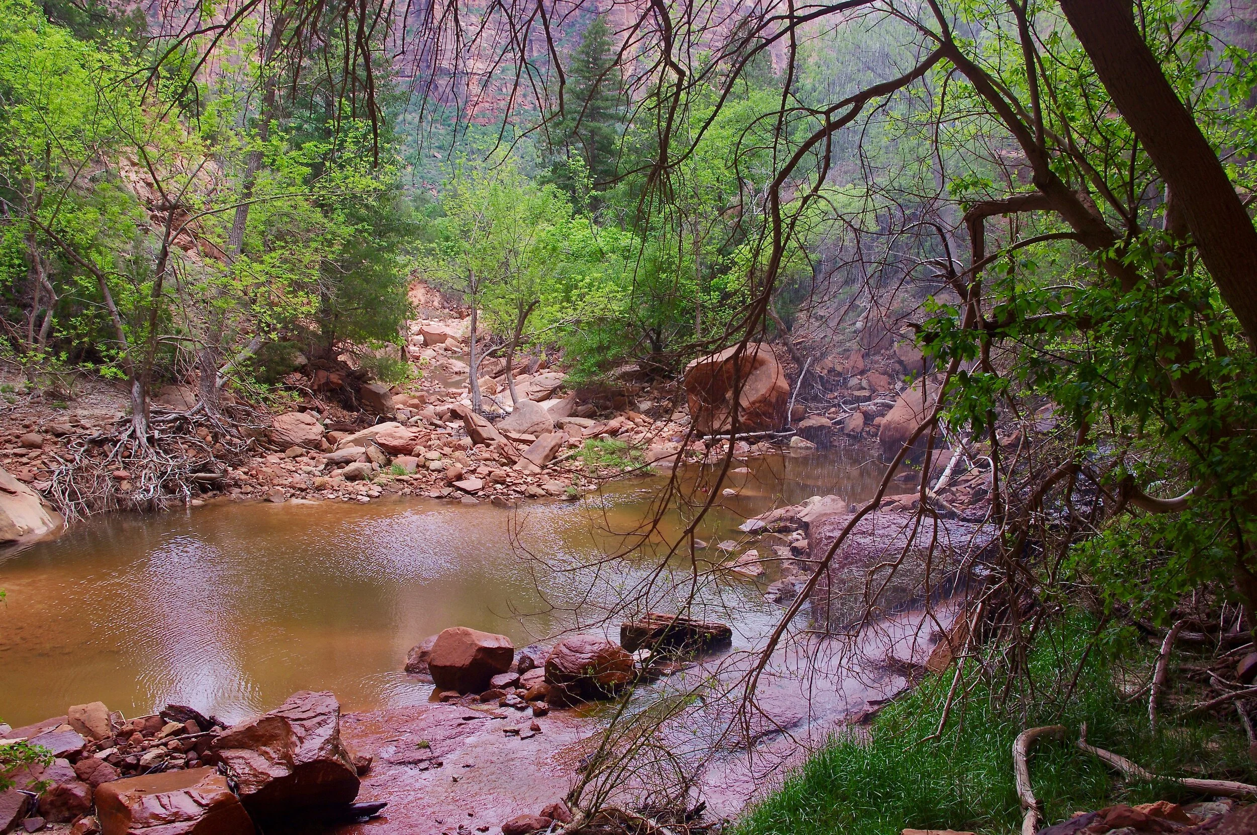 Here is Lower Emerald Pool. The stuff that looks like rain is actually waterfall. There are two of them falling from rocks that loom over the path so you end up walking behind them.