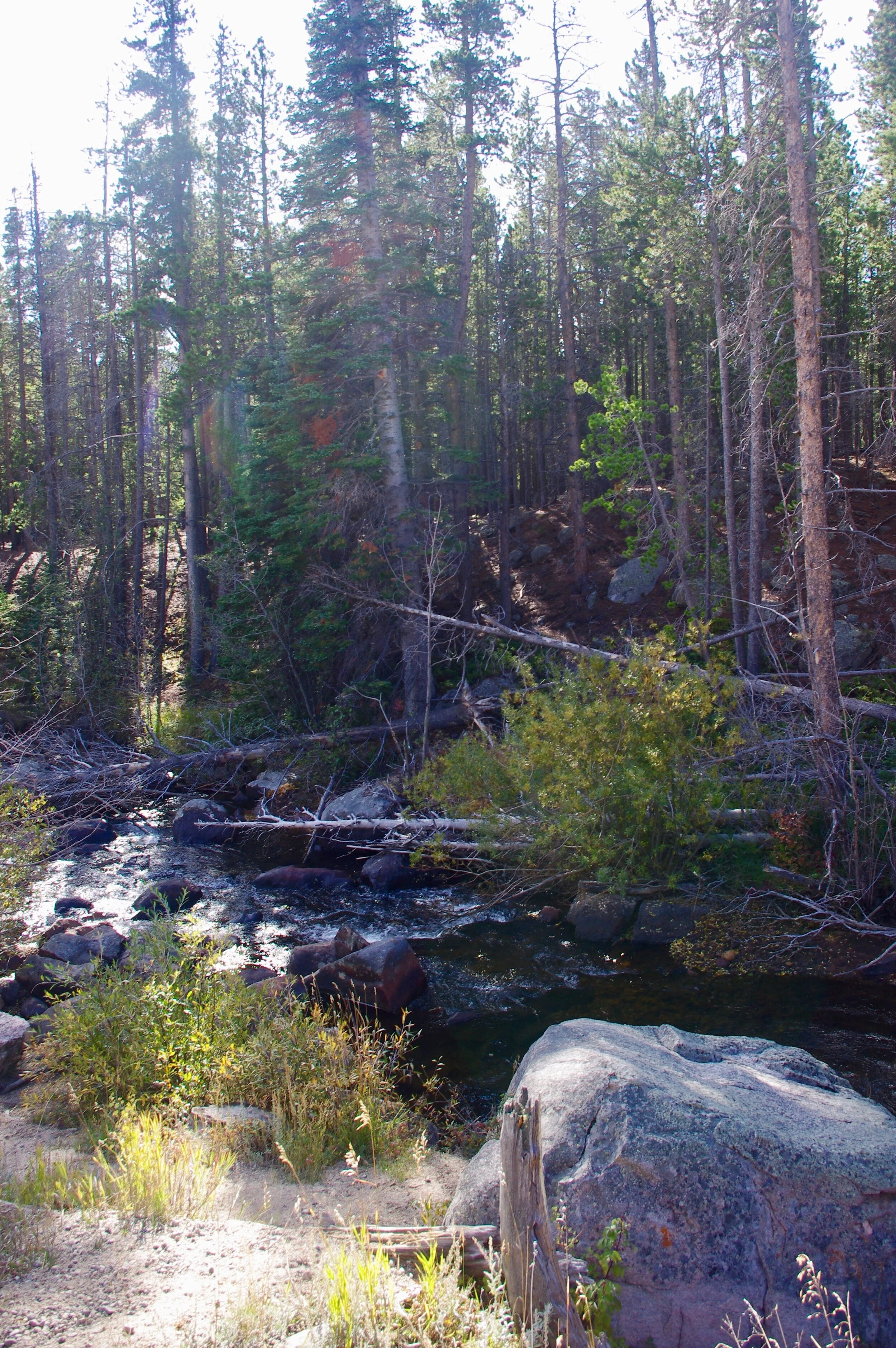 Impossible light, beautiful creek on the way to Bear Lake