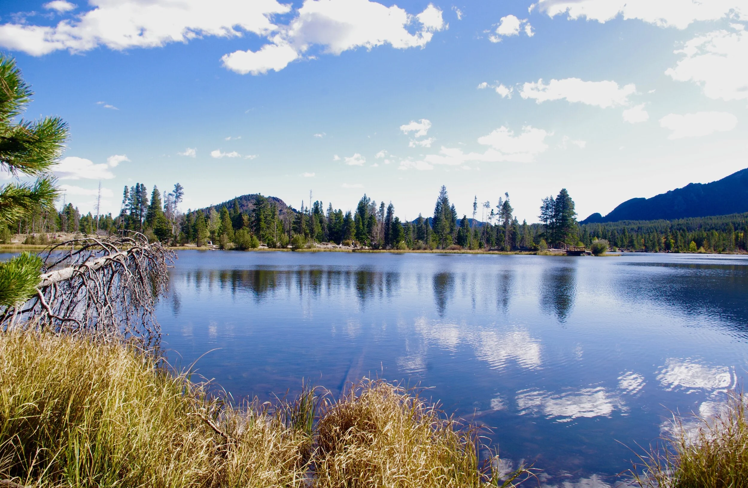 On the way to Bear Lake, I stopped at Sprague Lake, a gentle walk and some gorgeous scenery