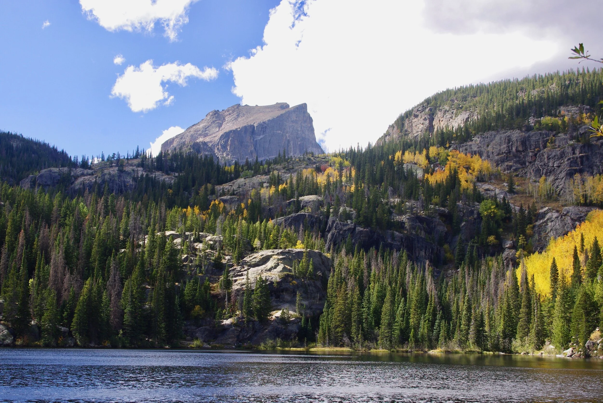Aspens in the sun, Bear Lake