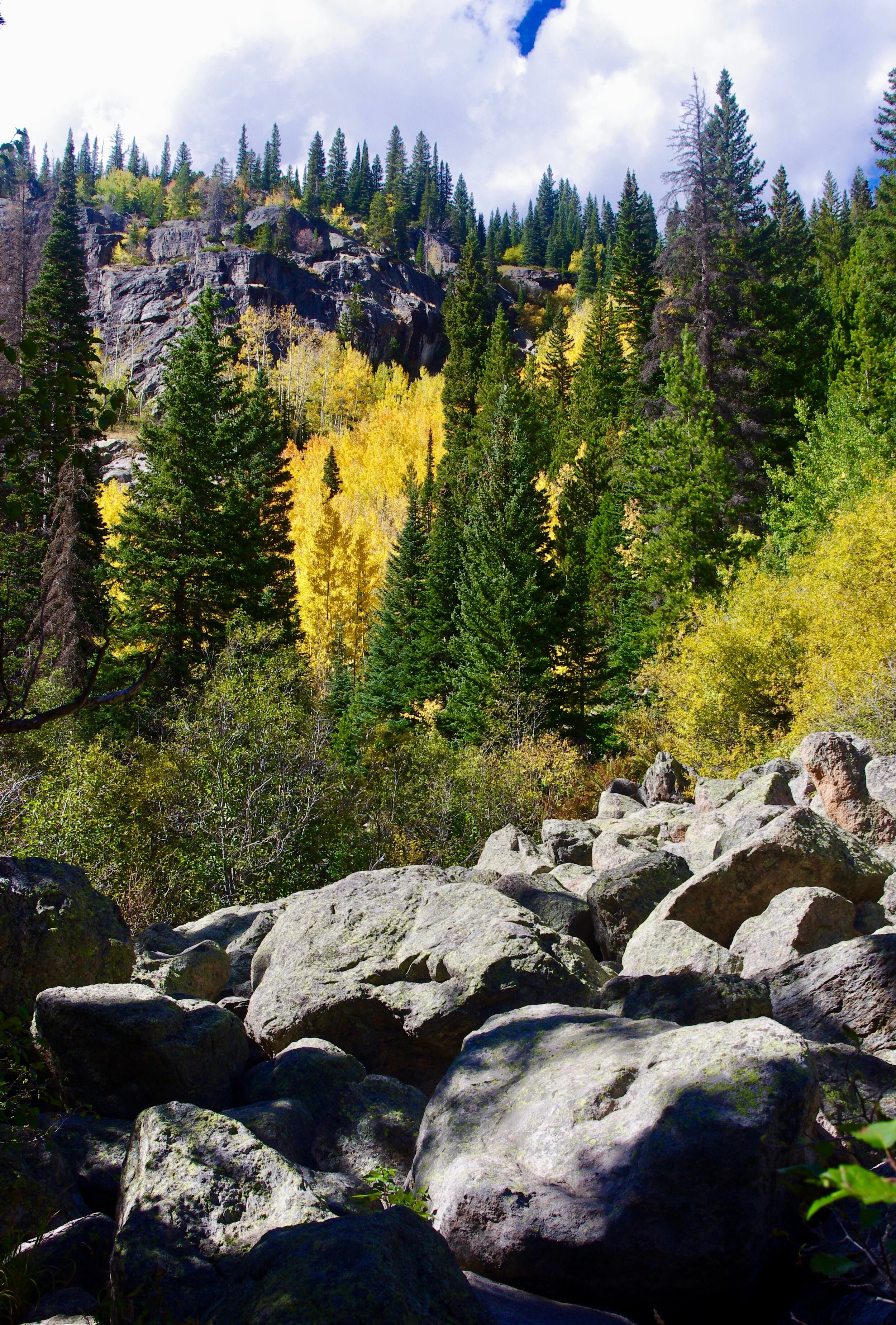Rocks and aspens, Bear Lake