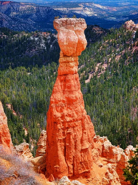 AGUA PINNACLE