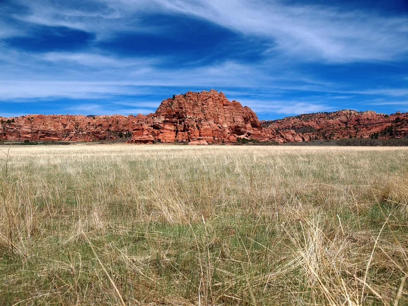 KOLOB GRASSLANDS
