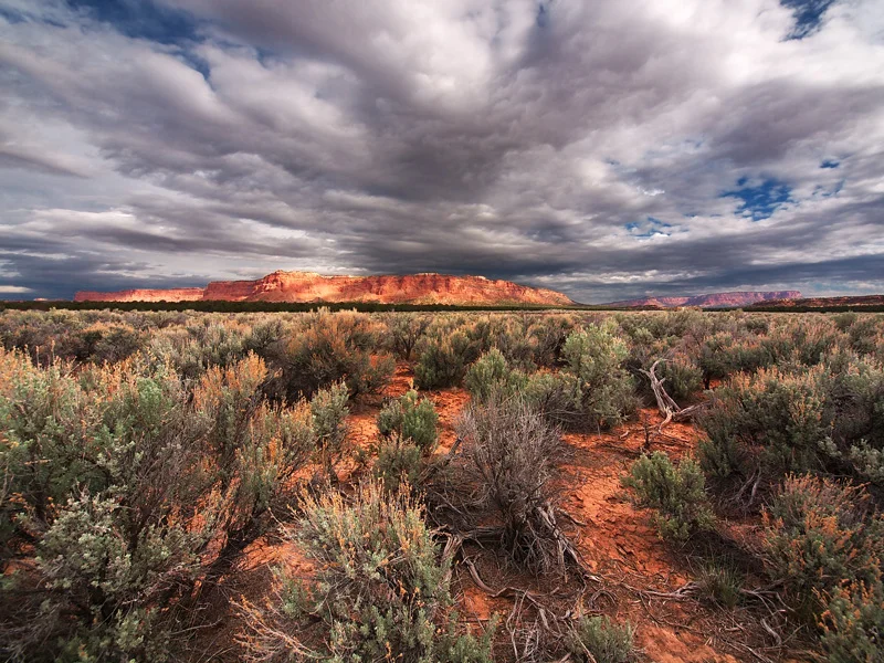 SAGEBRUSH VISTA