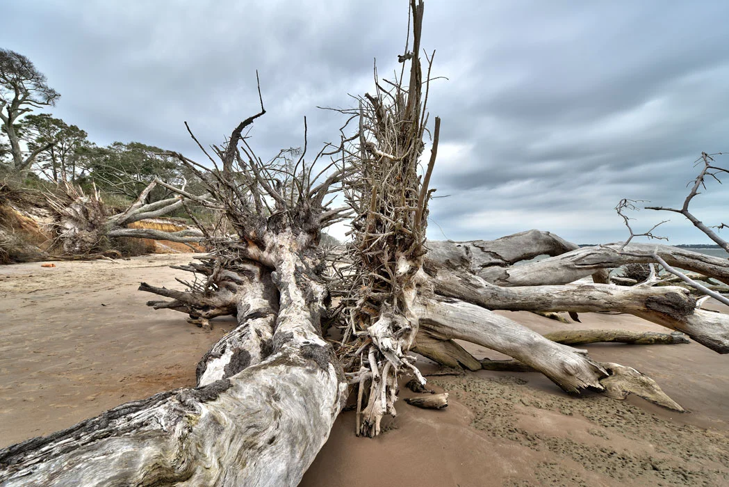 FALLEN GIANTS