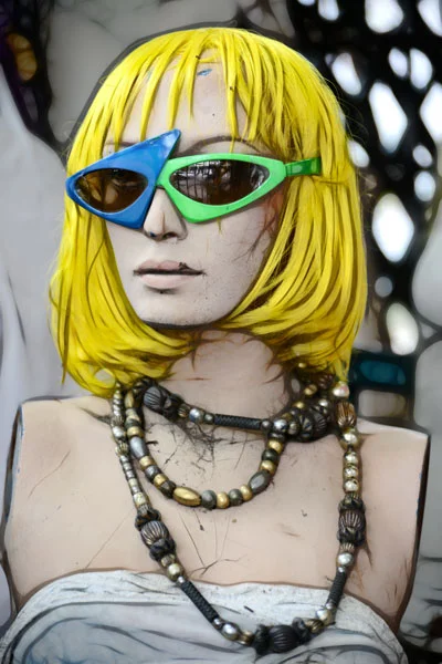 THE FASHIONISTA