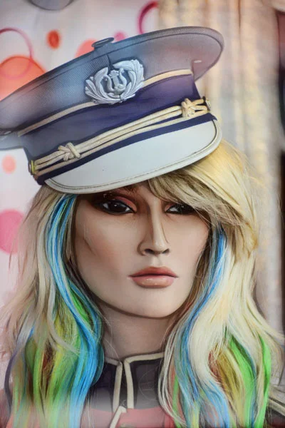 THE STEWARDESS
