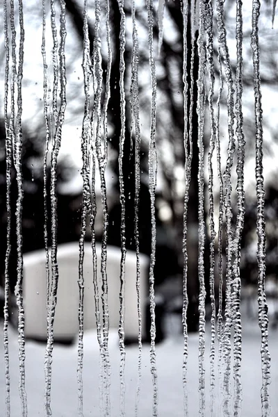 POLAR CHILL