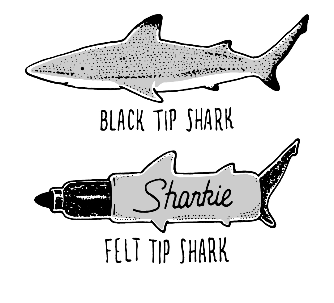 Sharkie.jpg