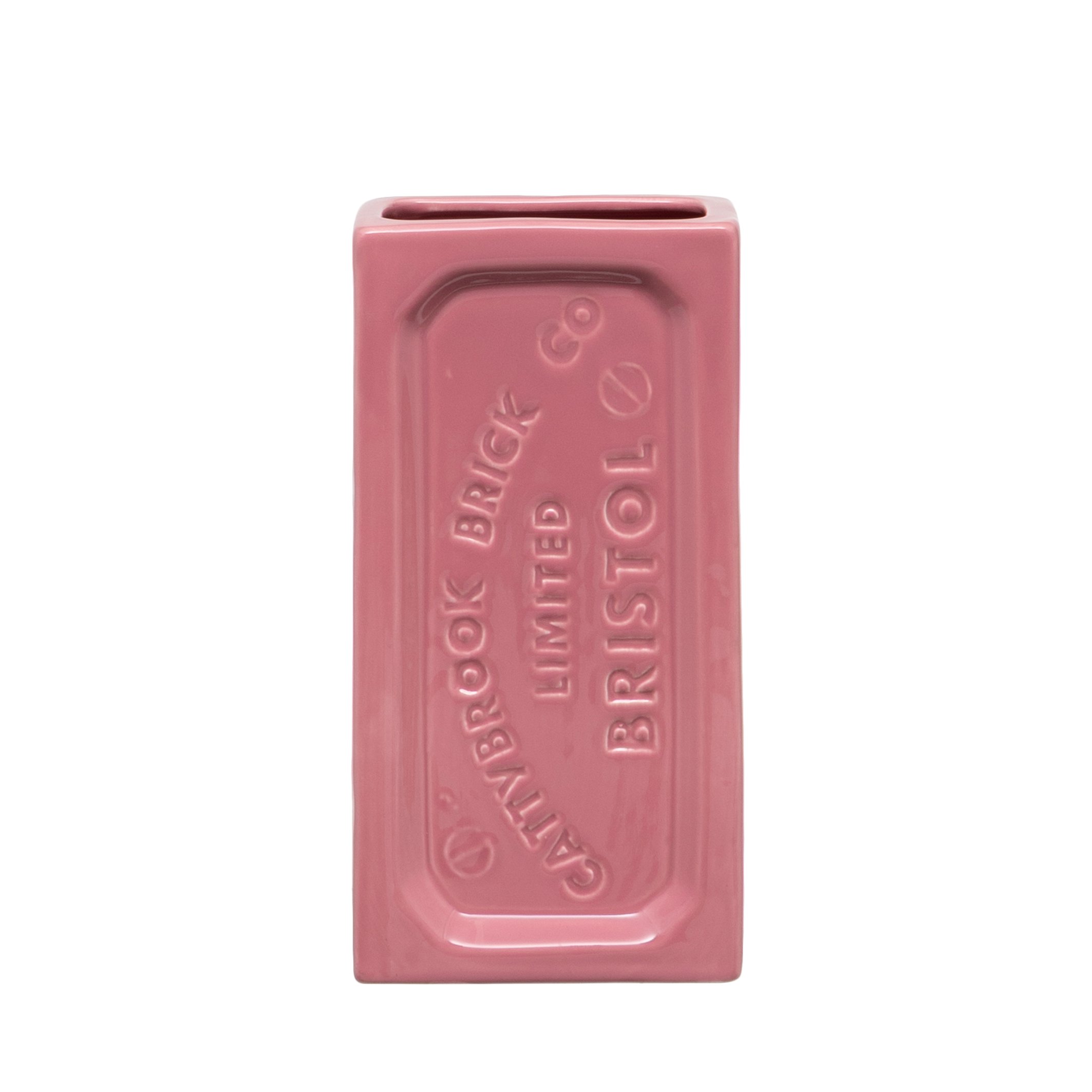 BSPINK _FRONT CUT.jpg