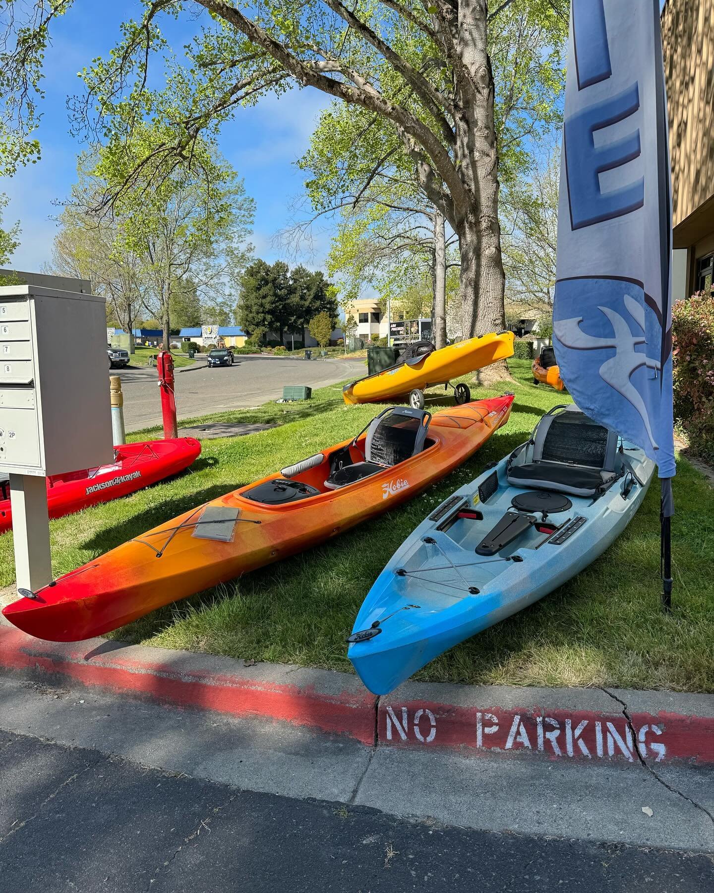 The paddling Kayaks are out on the lawn today. Swing by the shop and have a seat in one. 

#hobie #hobiekayaks #jacksonkayak #jacksonkayaks #kayak #kayaks #kayaking #kayaking🚣 #kayakstore #smallbusiness #localbusiness #getoutside #spring