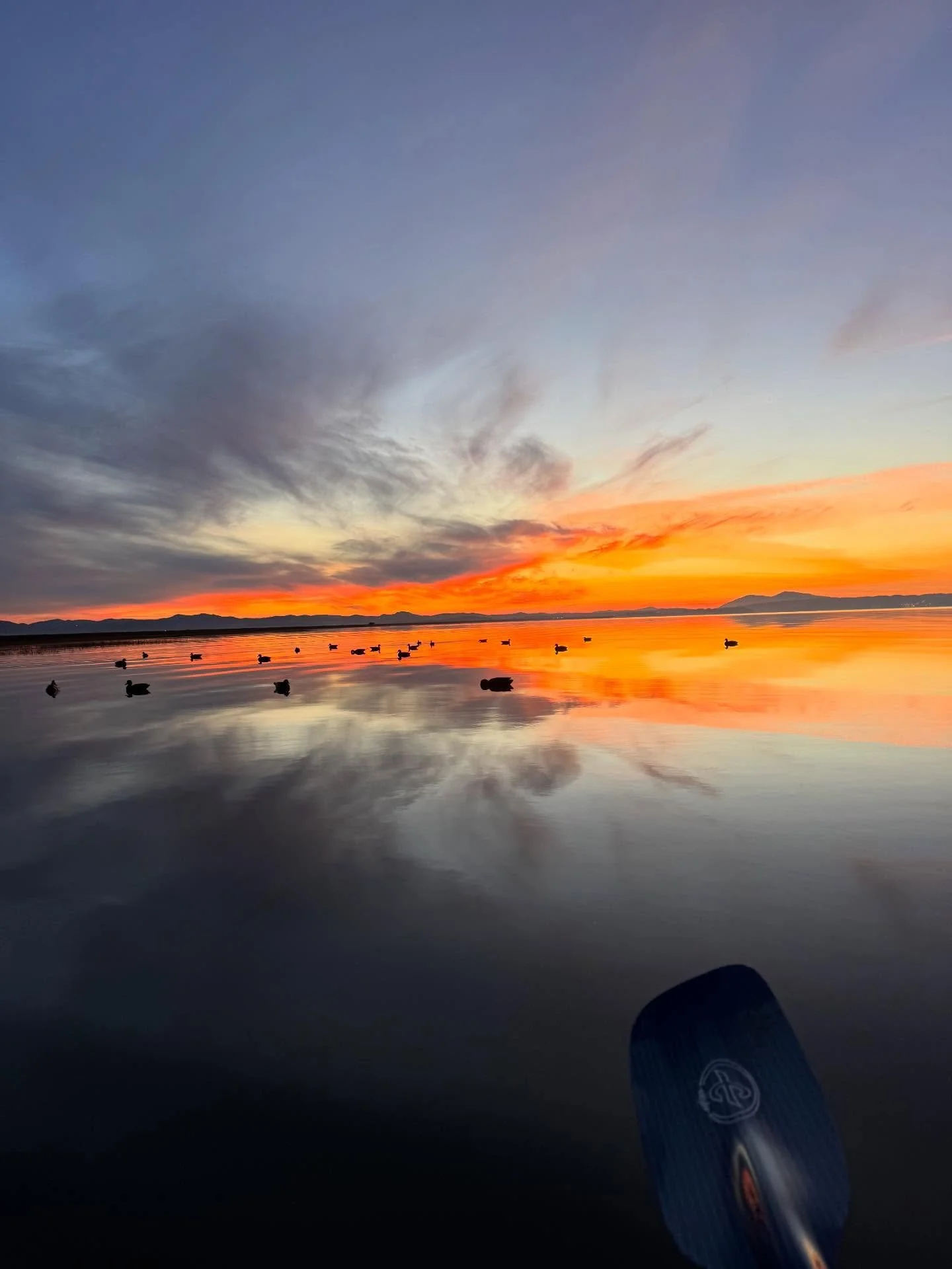 Looking forward to catching a few more sunrises on the bay in my kayak soon. Almost time to start chasing down some halibut! #sanfranciscobay #sanpablobay #sunrise #onthewater #getoutside