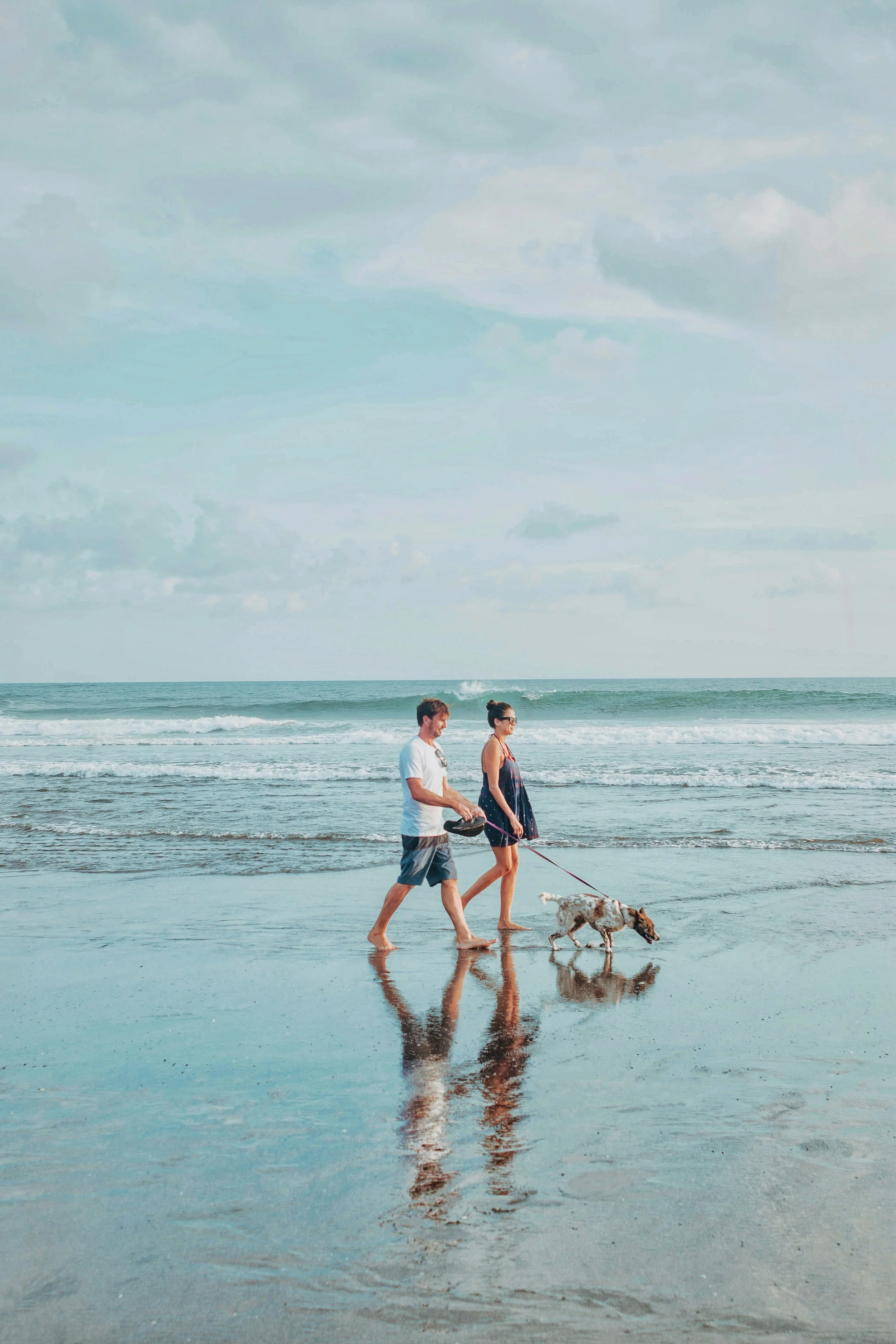 Couple walking with a dog along the beach