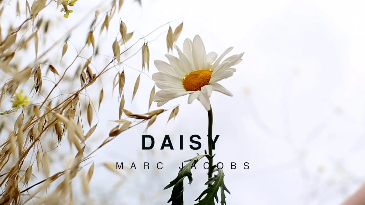 Daisy
