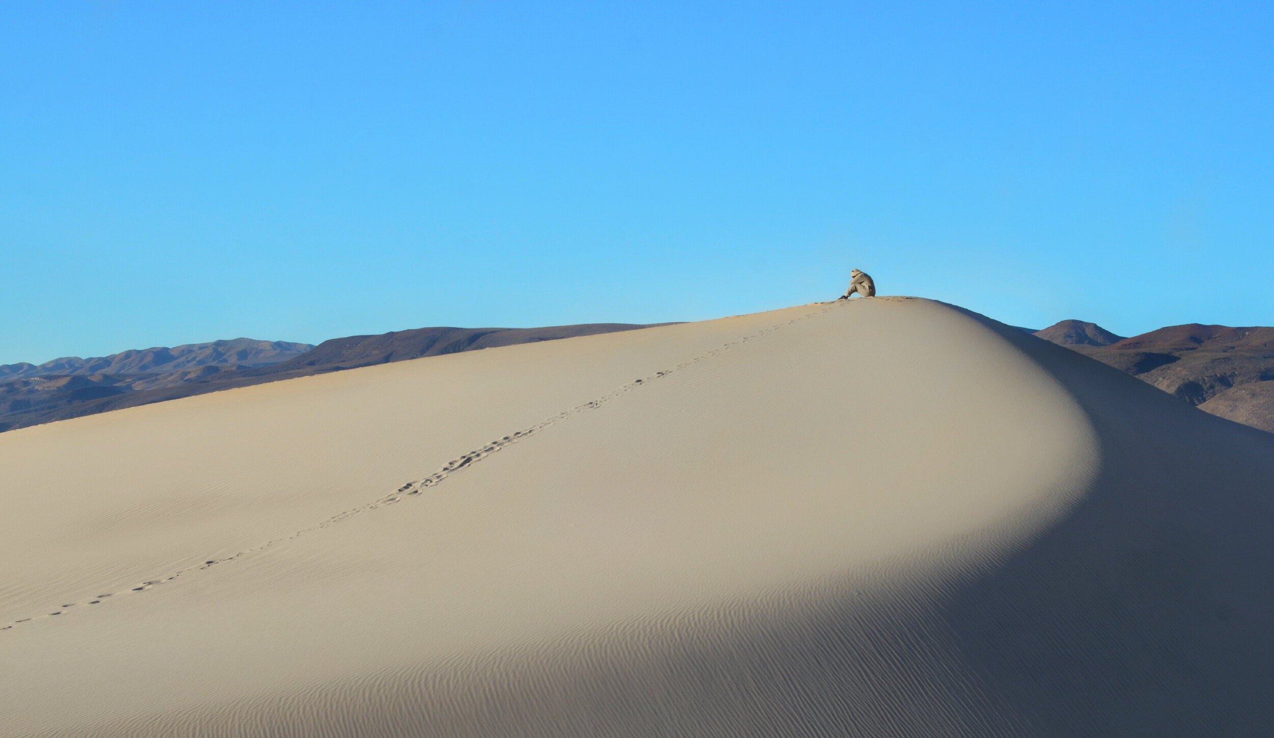 alone in Death Valley