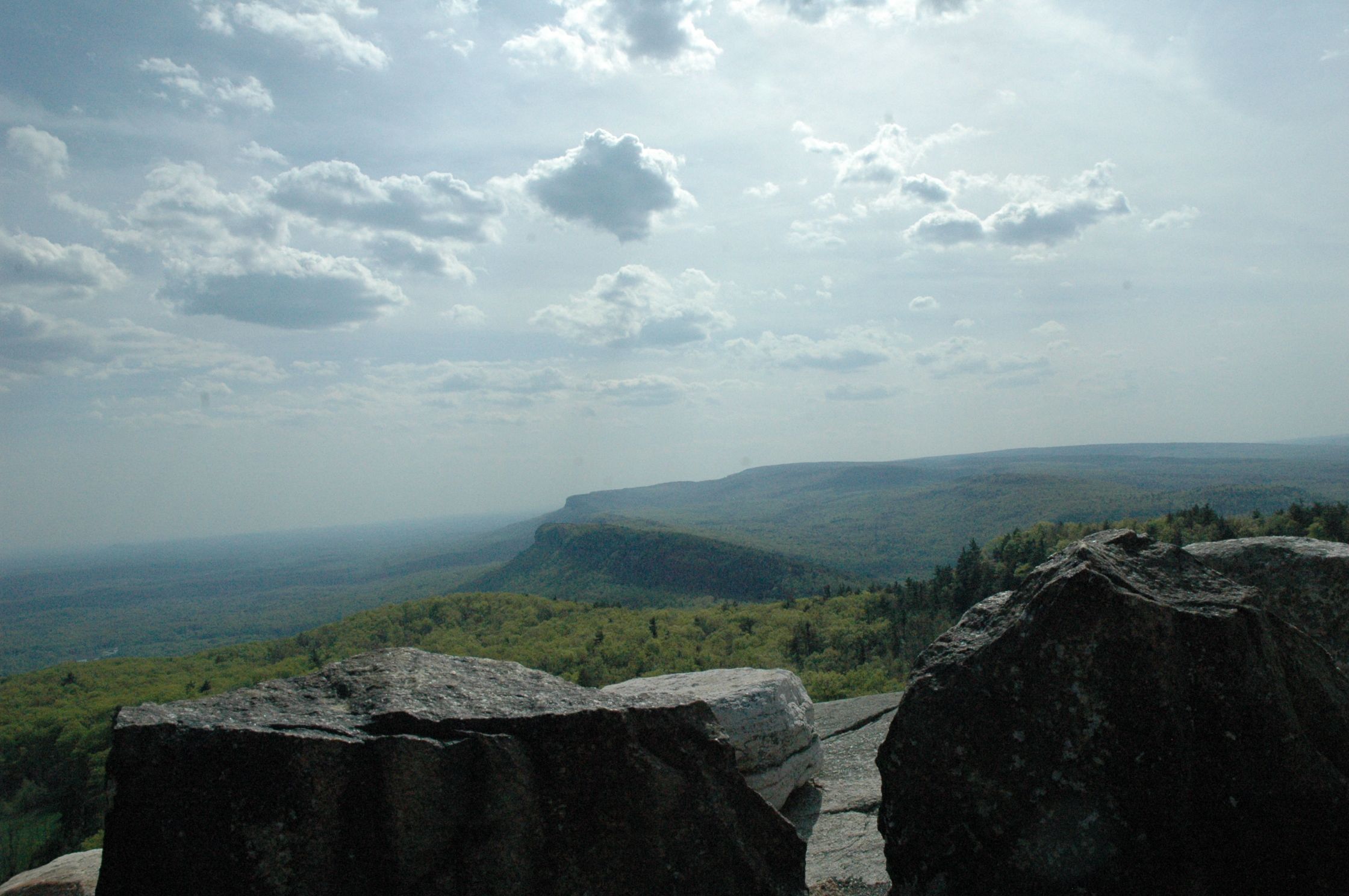 DSC_0915.jpg