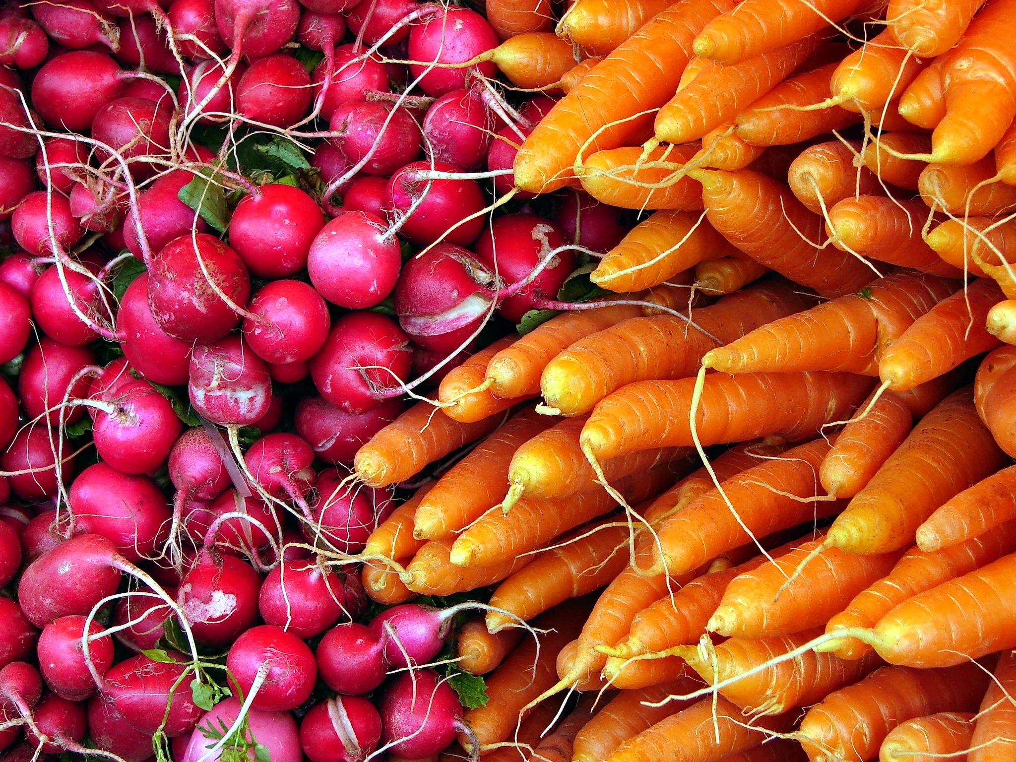 Spring Food Rx: Eating for Renewal, Vibrancy and Enhanced Health