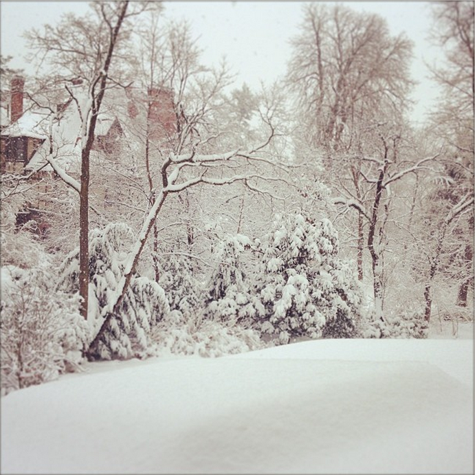Spring Up!