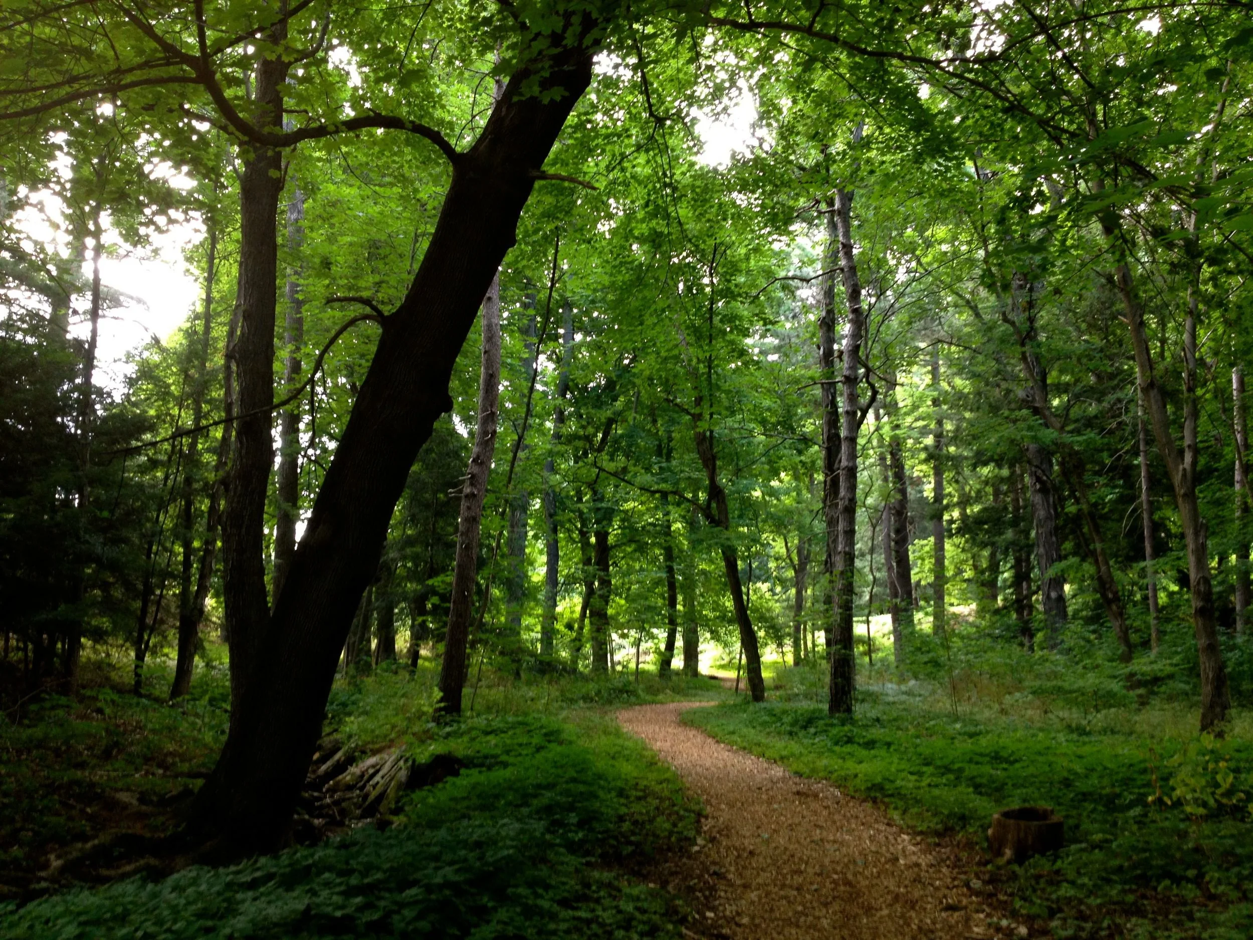 Harmonize with Nature for Optimal Health